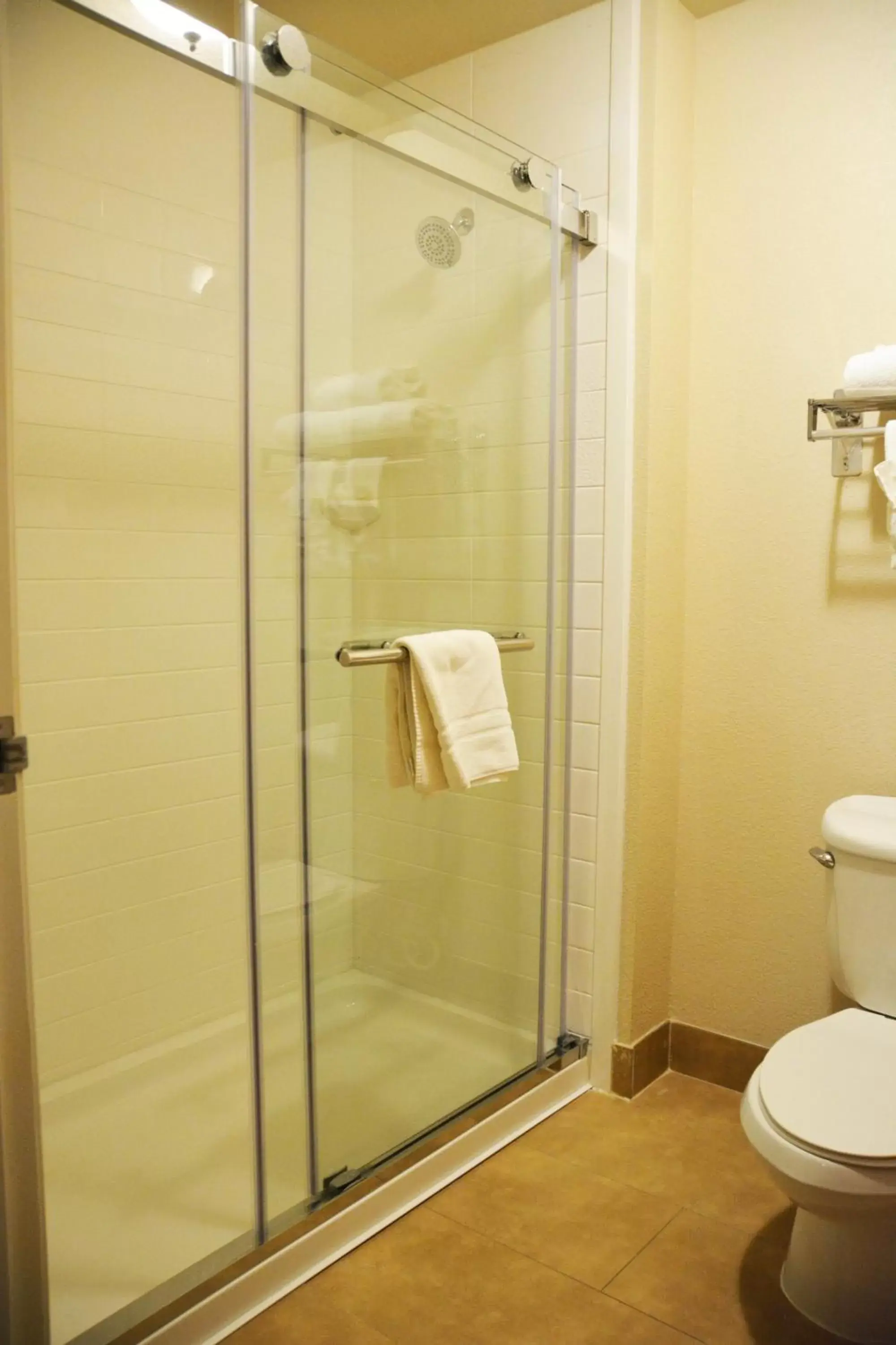 Shower, Bathroom in Best Western Plus Gateway Inn & Suites - Aurora