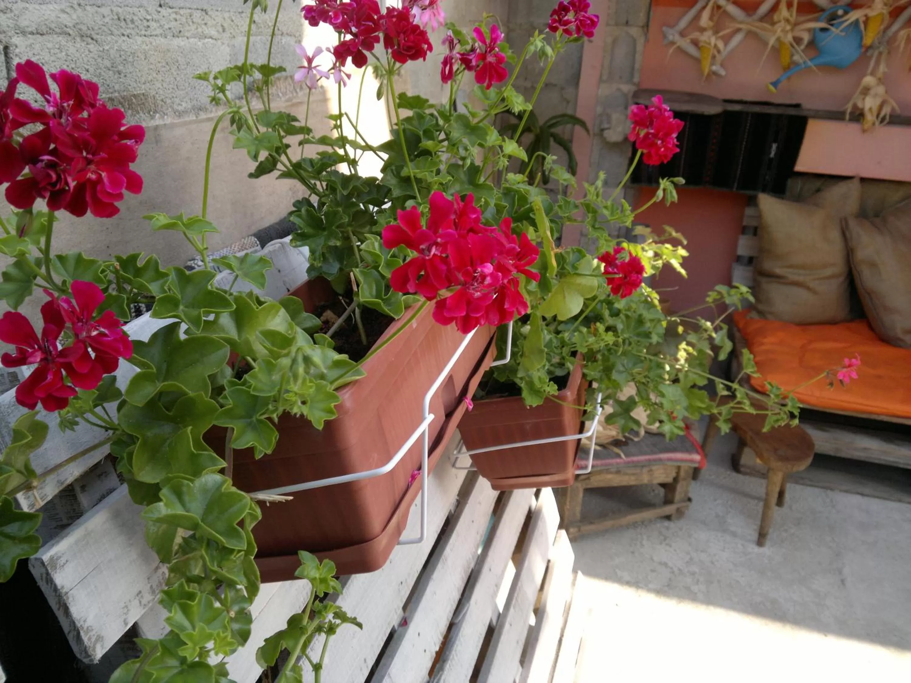 Summer in Hotel Poseidon