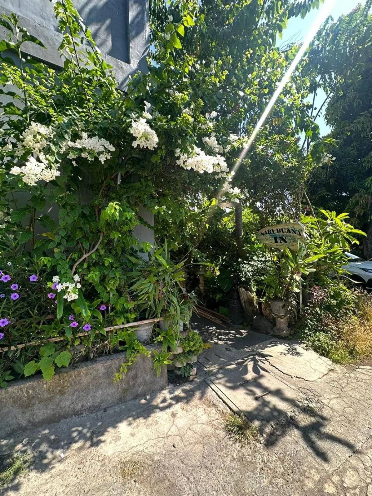 Garden view in Sari Buana Bed & Breakfast Garden view in Sari Buana Bed & Breakfast