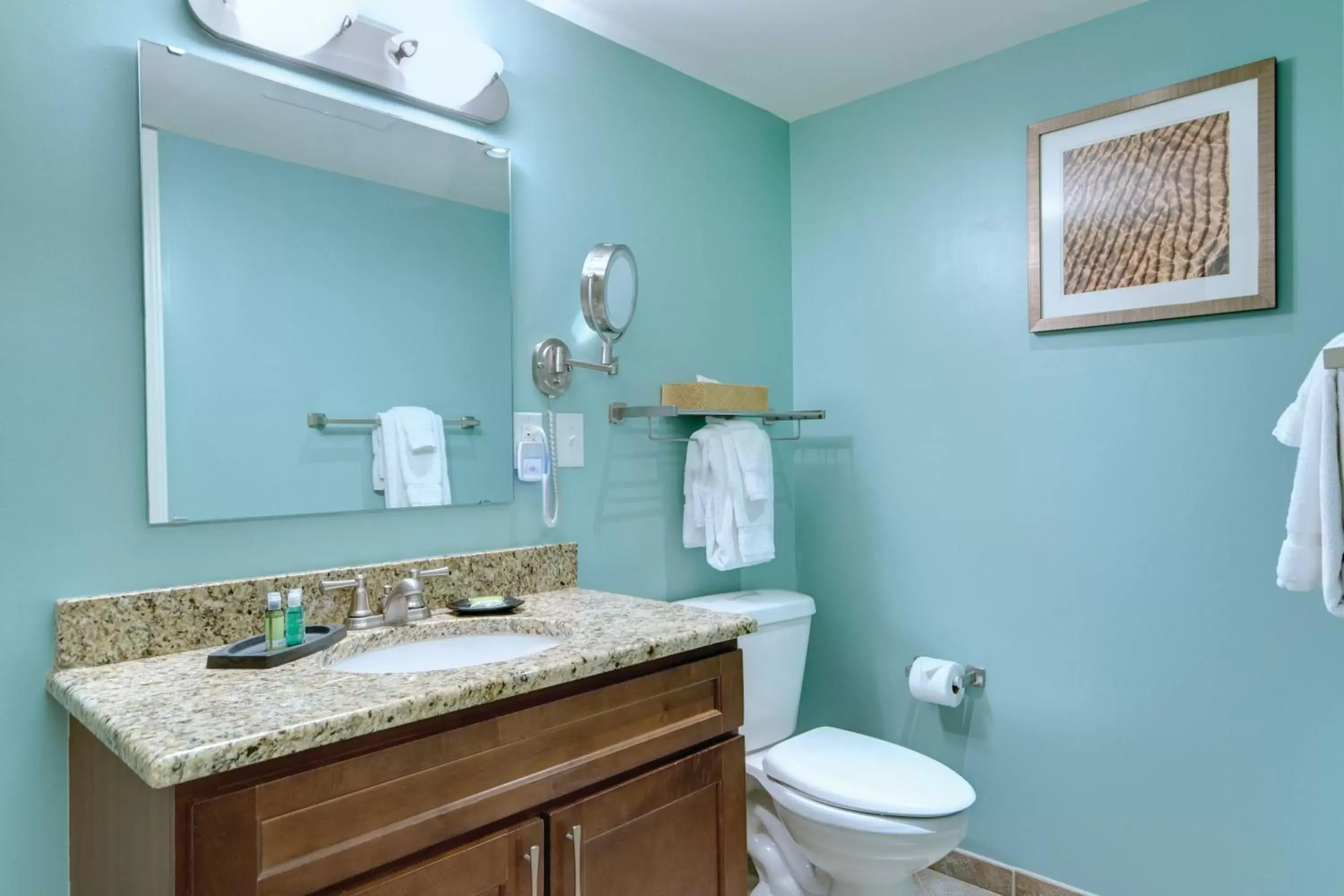 Bathroom in Club Wyndham Towers on the Grove