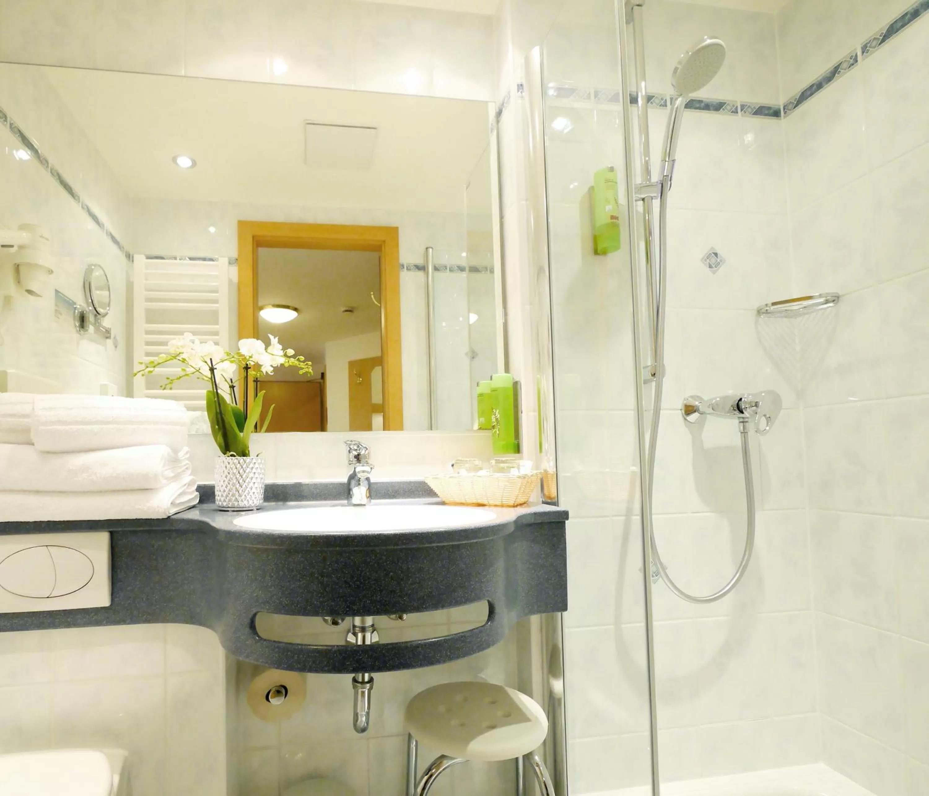 Bathroom in Berghotel Zollersteighof