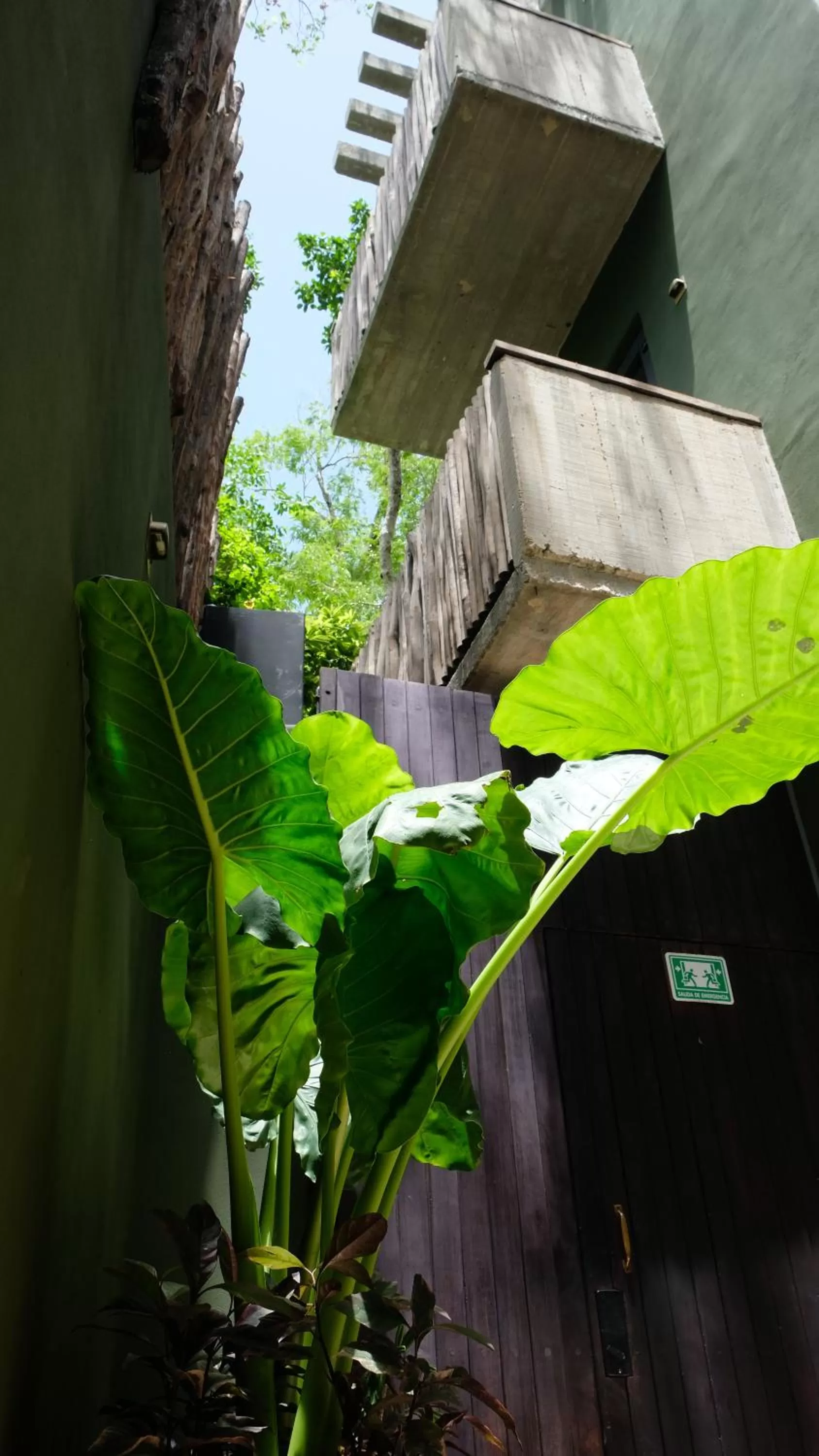 Inner courtyard view in Loba Tulum Male Only