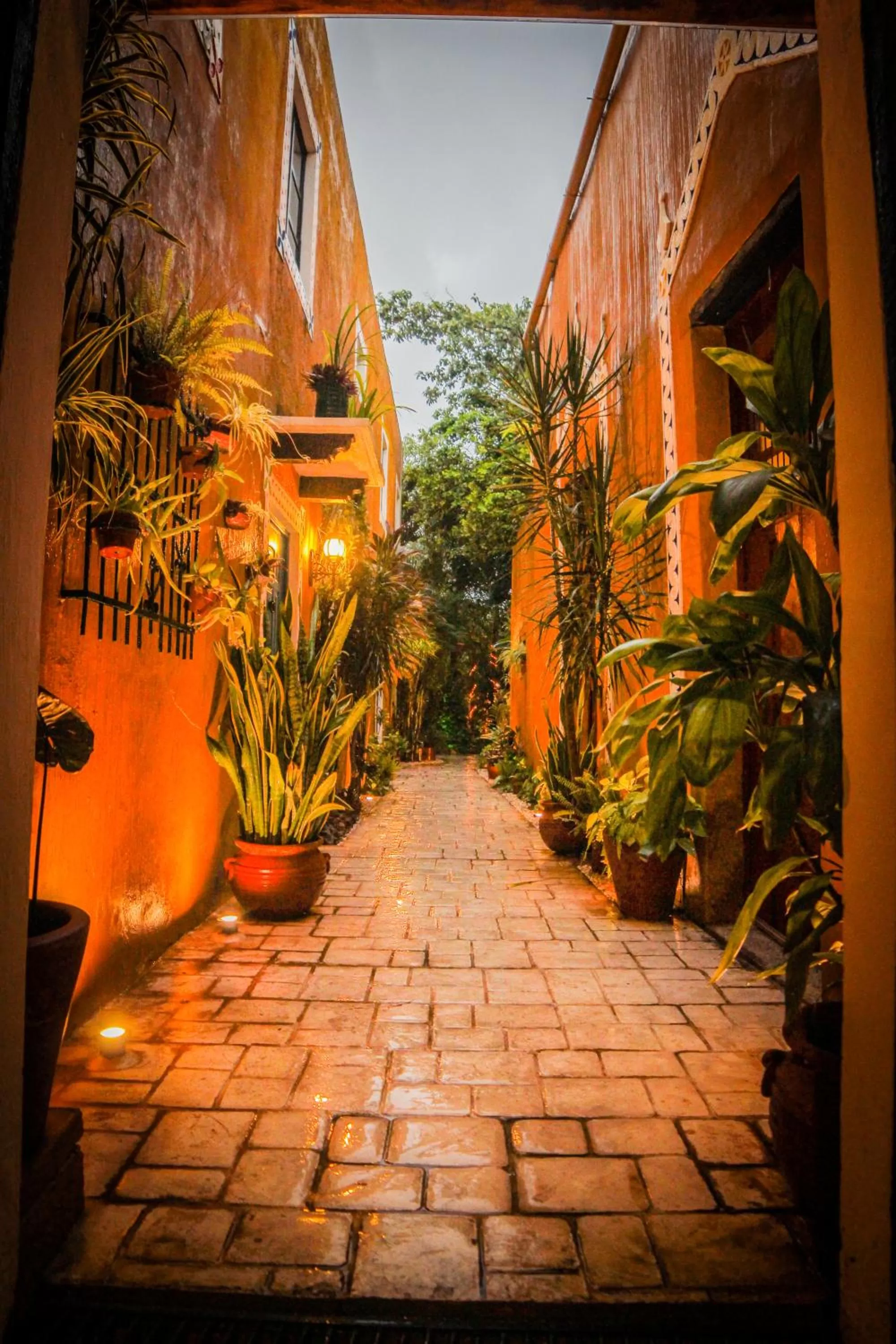 Property building in Casa Tia Micha