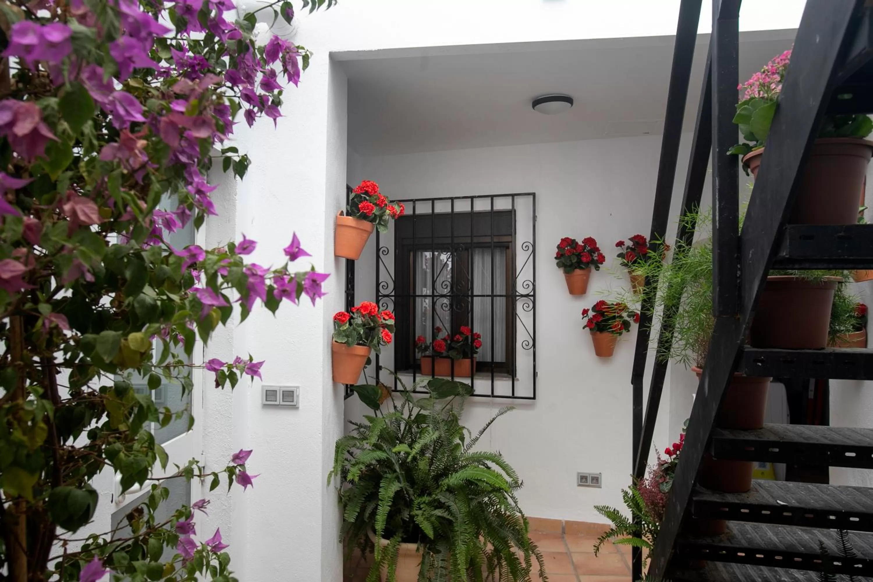 Patio in Vitium Córdoba