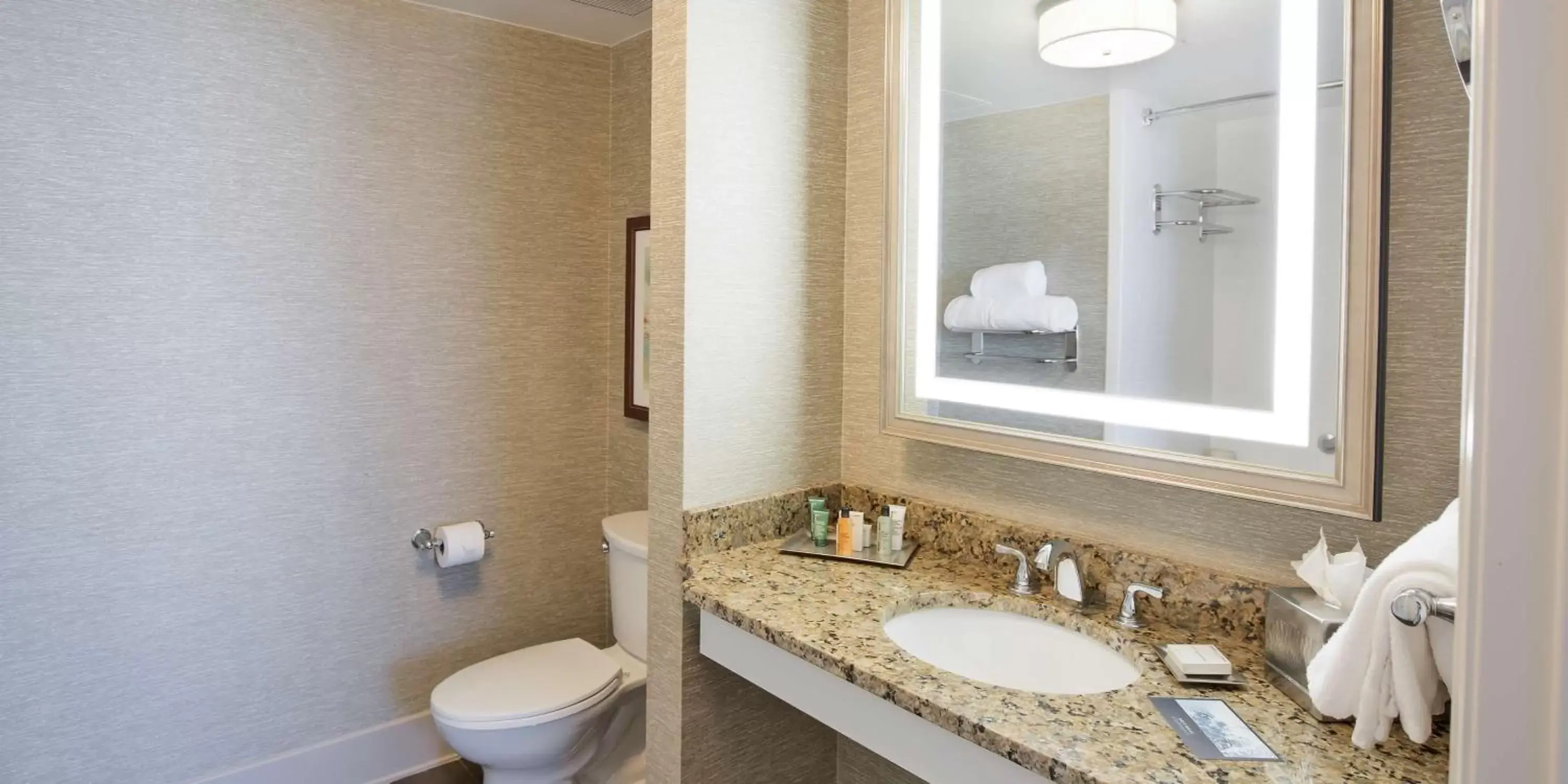 Bathroom in Hilton Baton Rouge Capitol Center