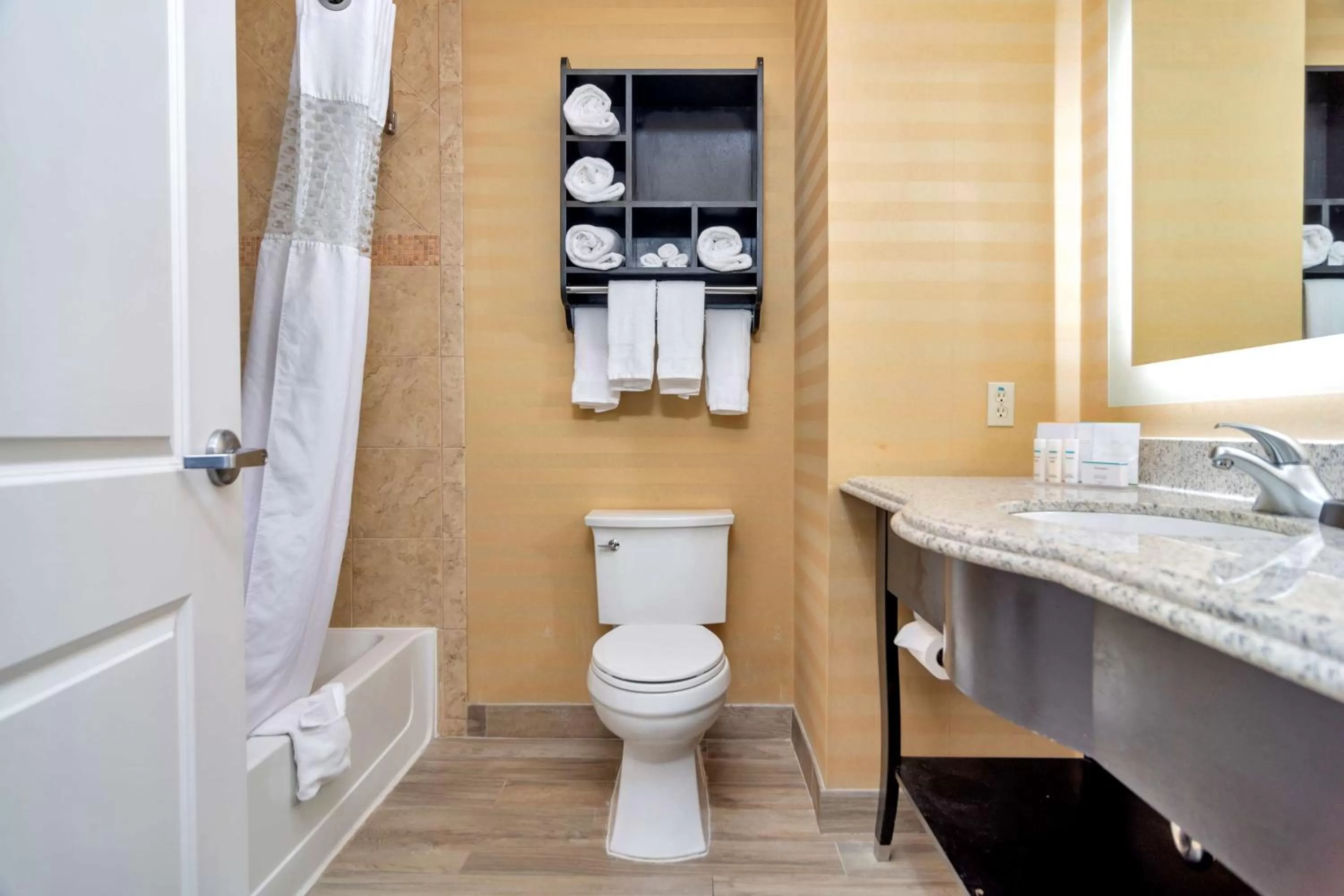 Bathroom in Hampton Inn & Suites Fort Worth-Fossil Creek