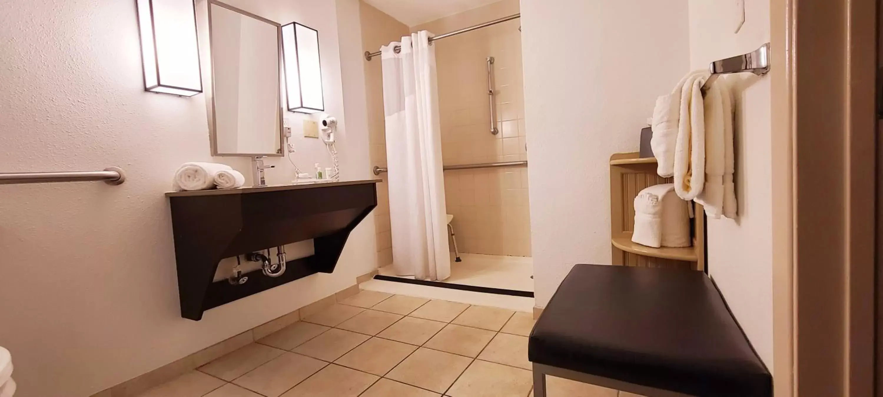 Bathroom in Holiday Inn El Paso West – Sunland Park, an IHG Hotel