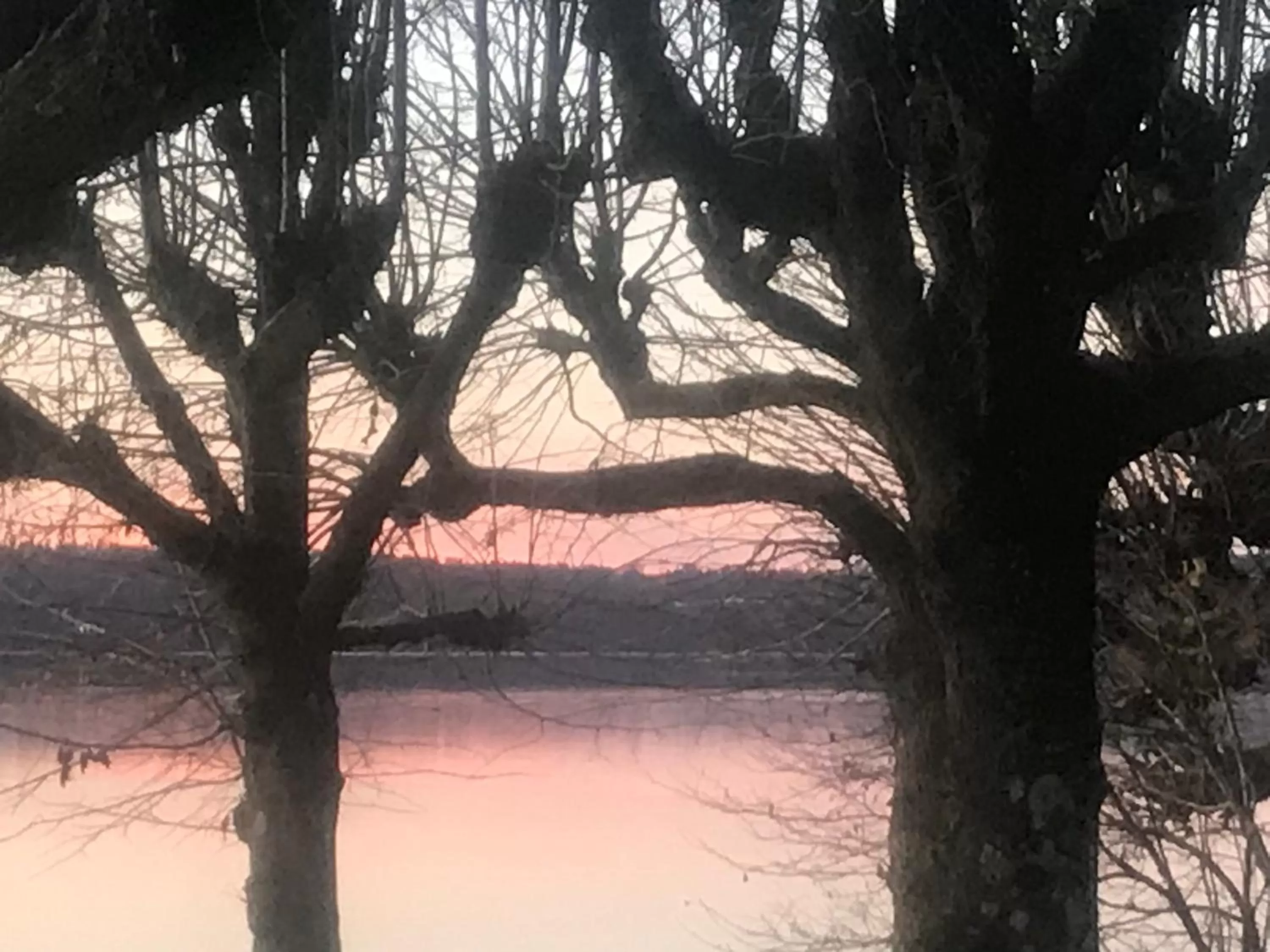 Natural landscape in Bed and Breakfast Bavaria München