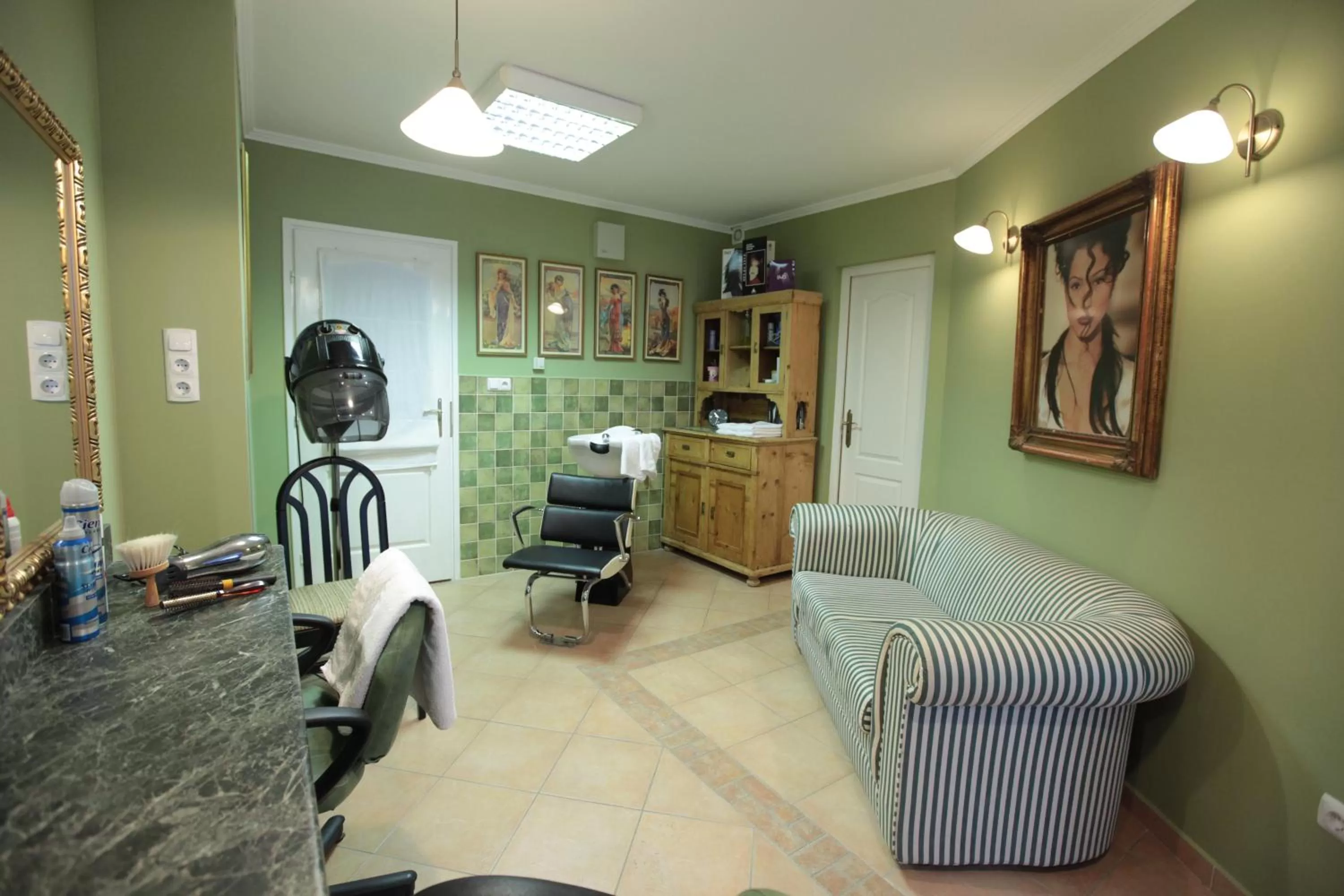 Area and facilities in Európa Panzió