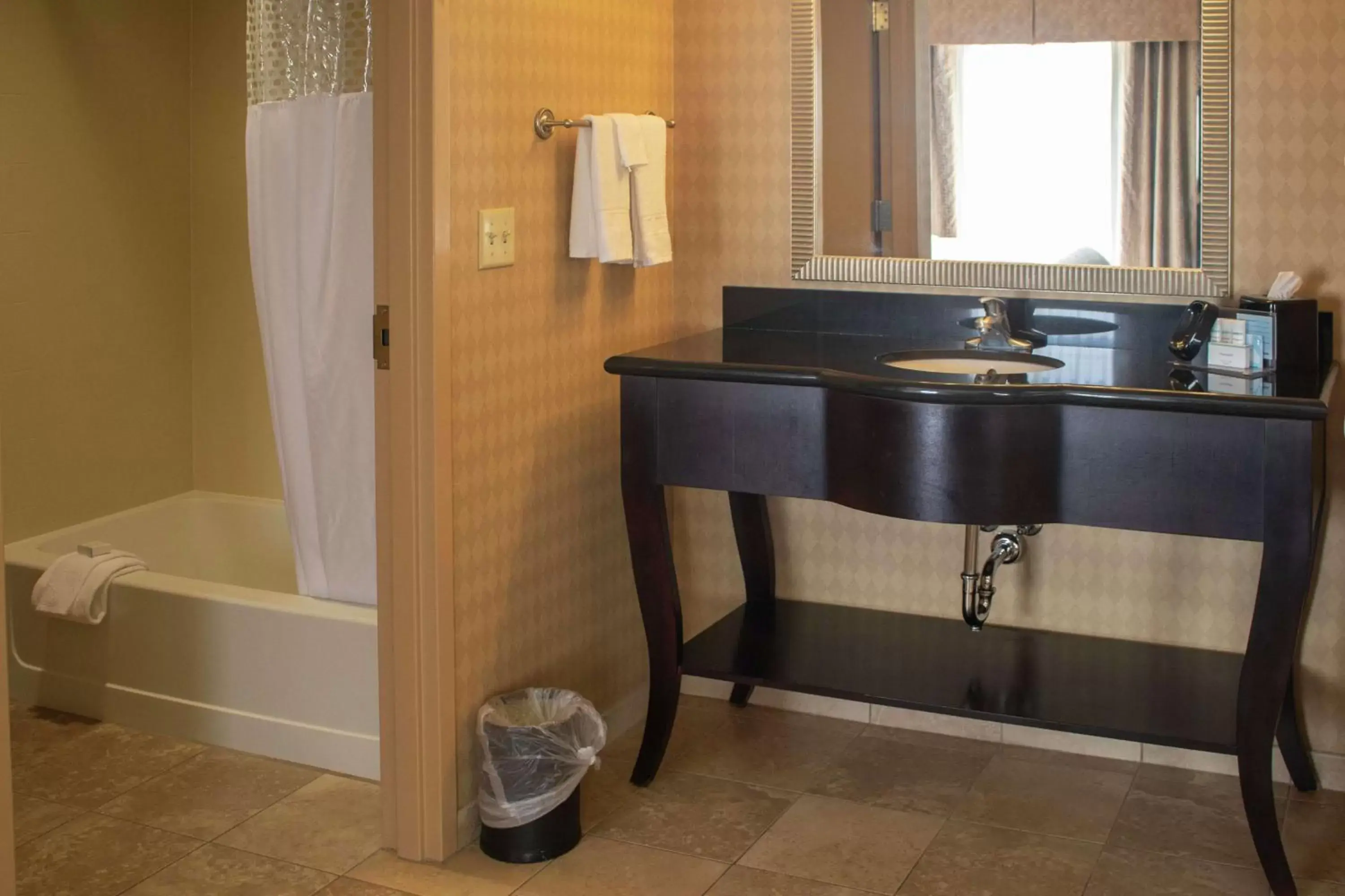 Bathroom in Hampton Inn & Suites-Knoxville/North I-75