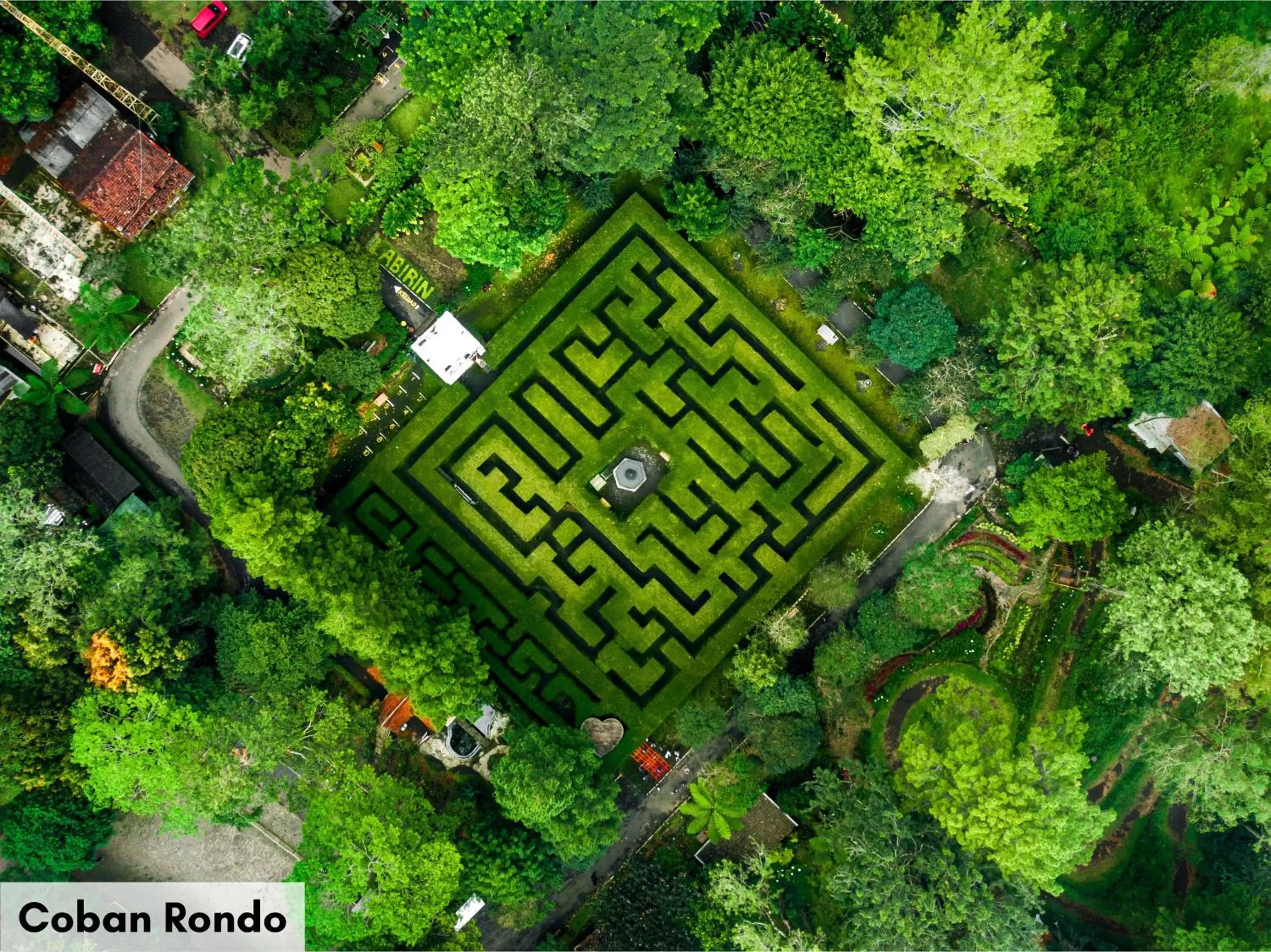 Natural landscape in Swiss-Belinn Malang