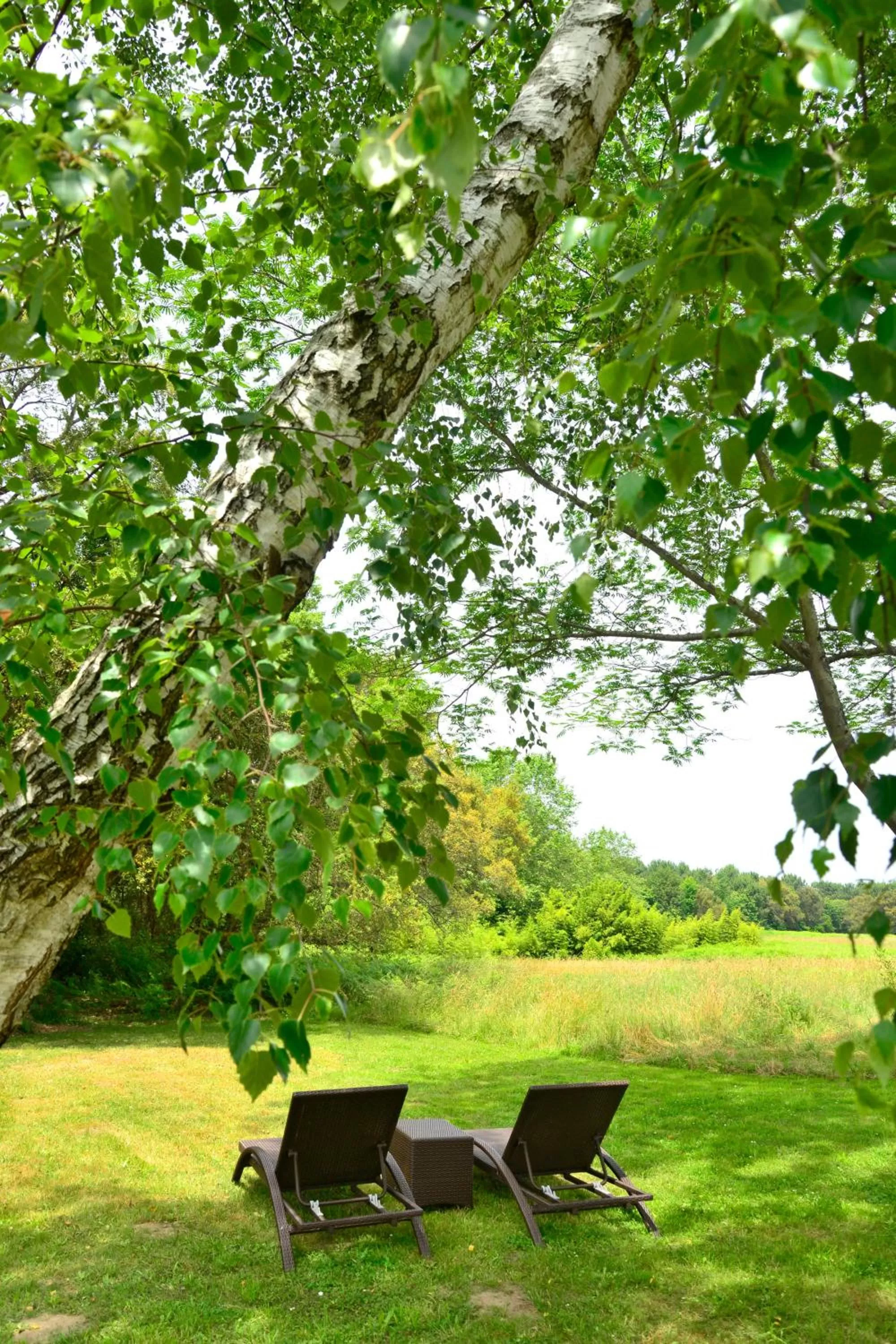 Day in The Originals City, Hôtel Le Lodge, Ondres, Bayonne Nord