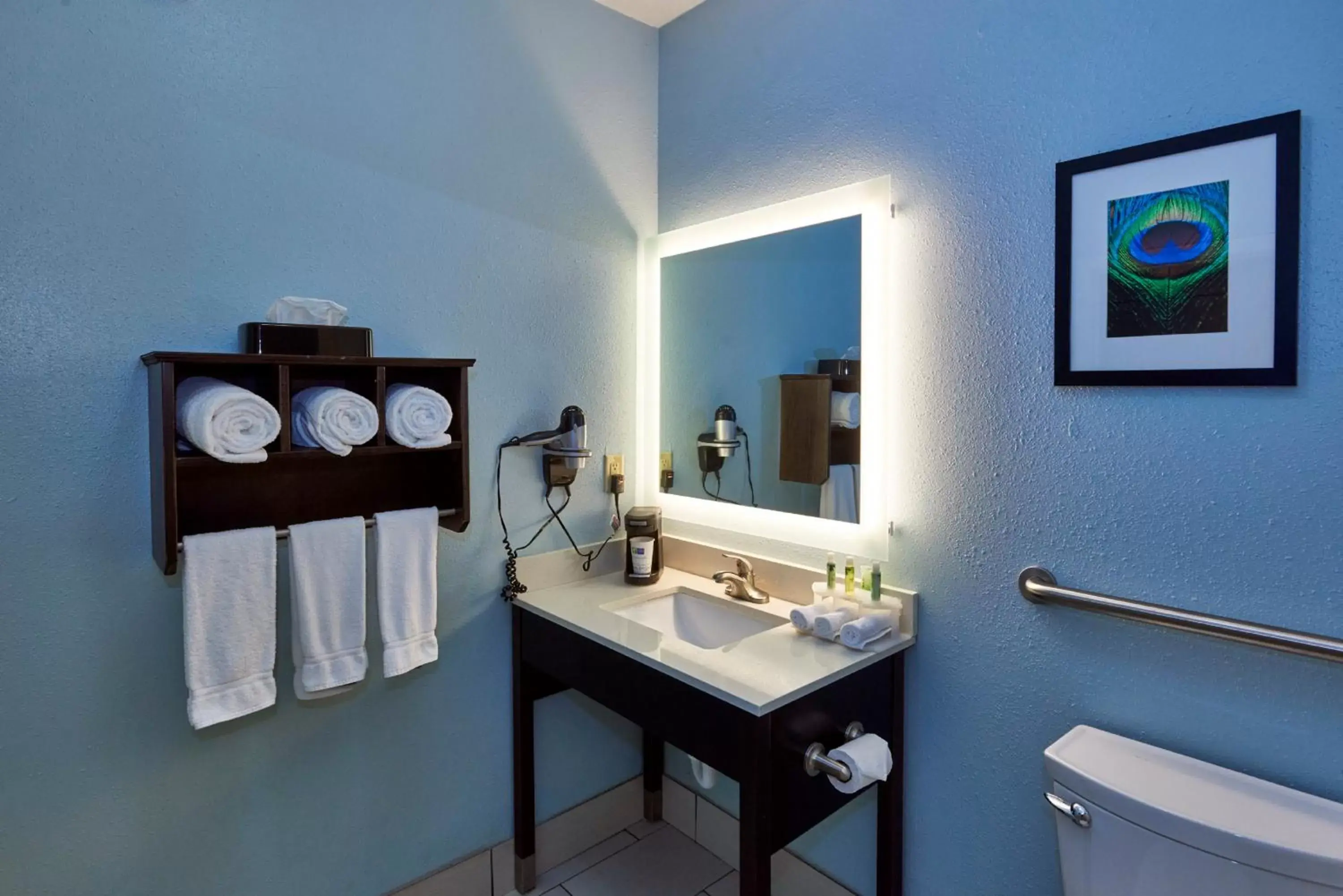 Photo of the whole room, Bathroom in Holiday Inn Express & Suites Birmingham South - Pelham, an IHG Hotel