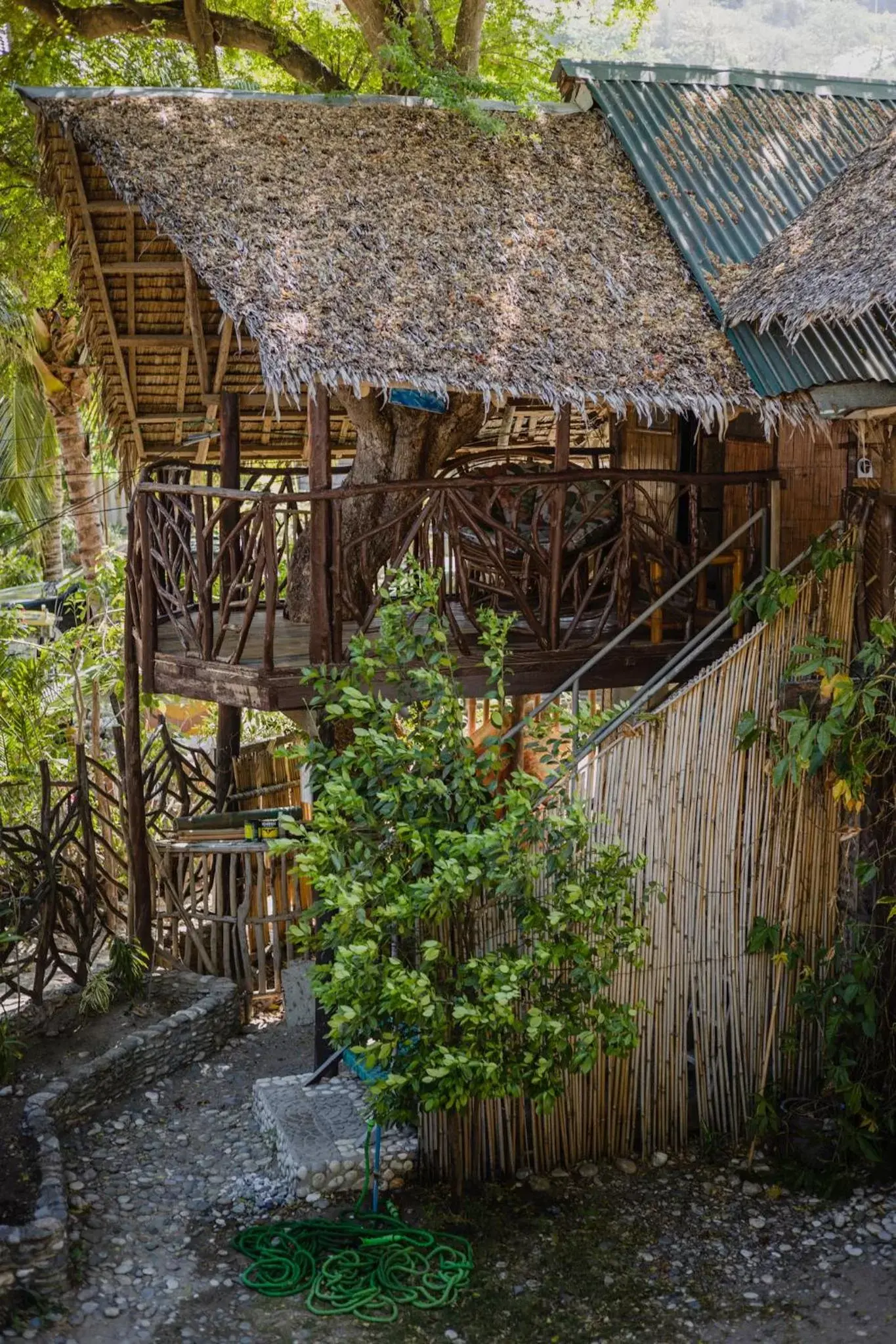 Garden, Property Building in Amami Beach Resort