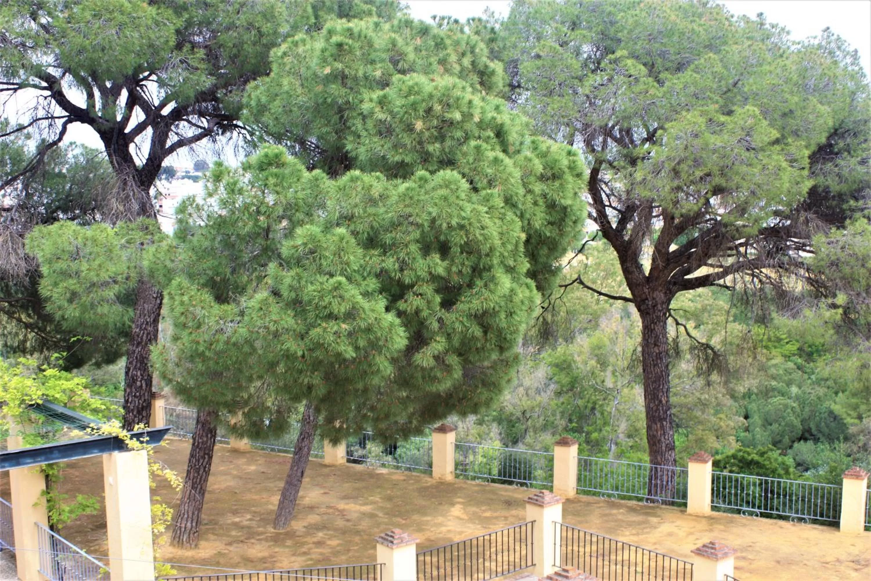 Nearby landmark in Hotel Oromana