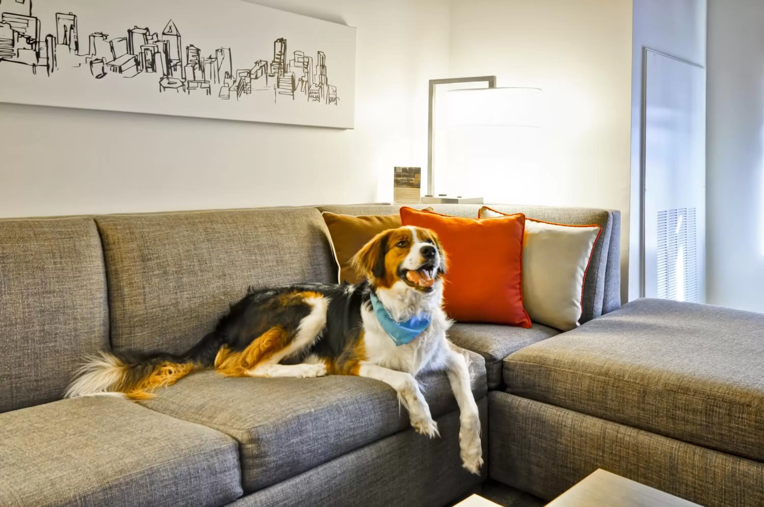 Pets in Hyatt Place Roanoke Airport / Valley View Mall