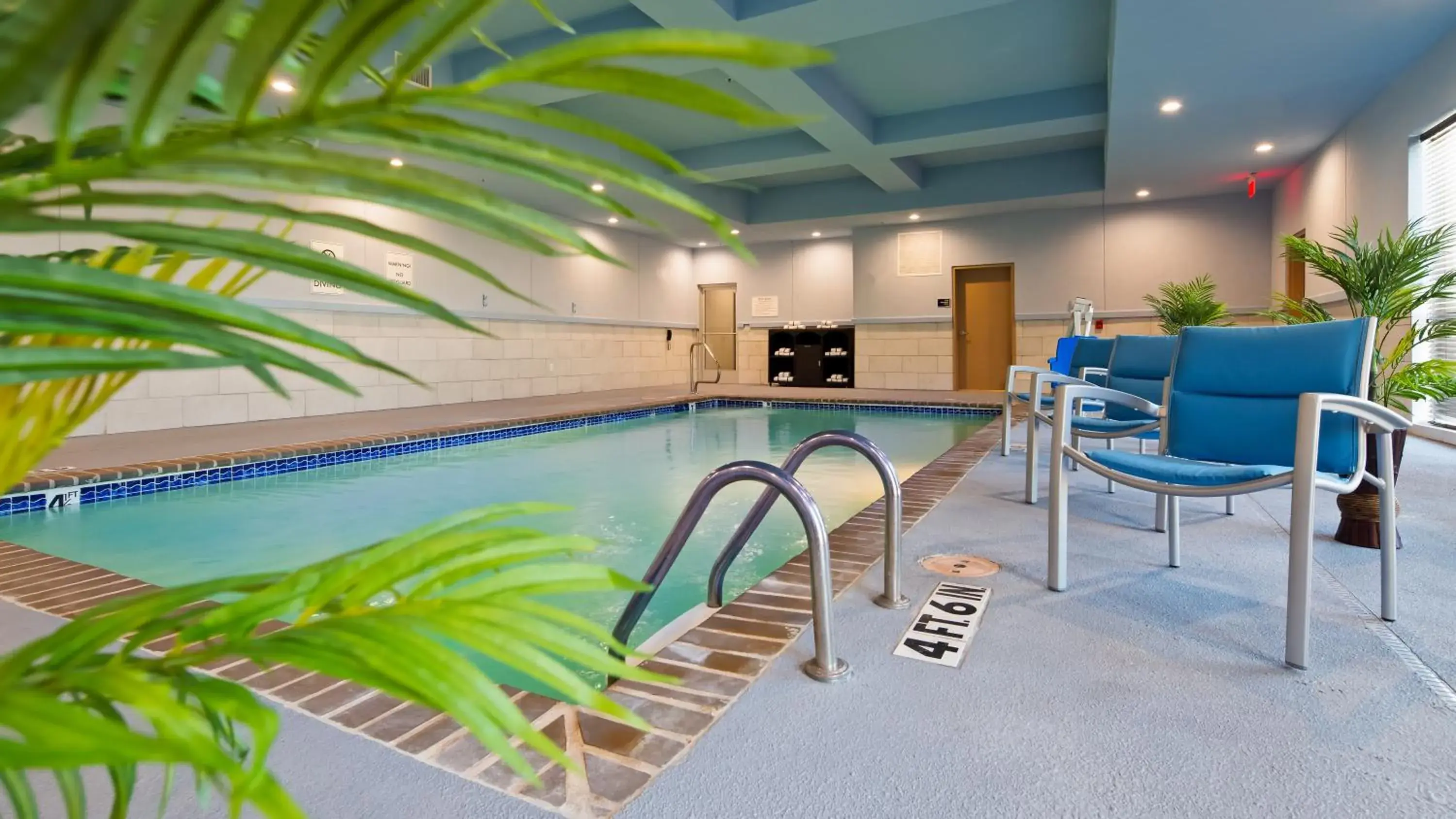 Swimming Pool in Best Western Plus Buda Austin Inn & Suites