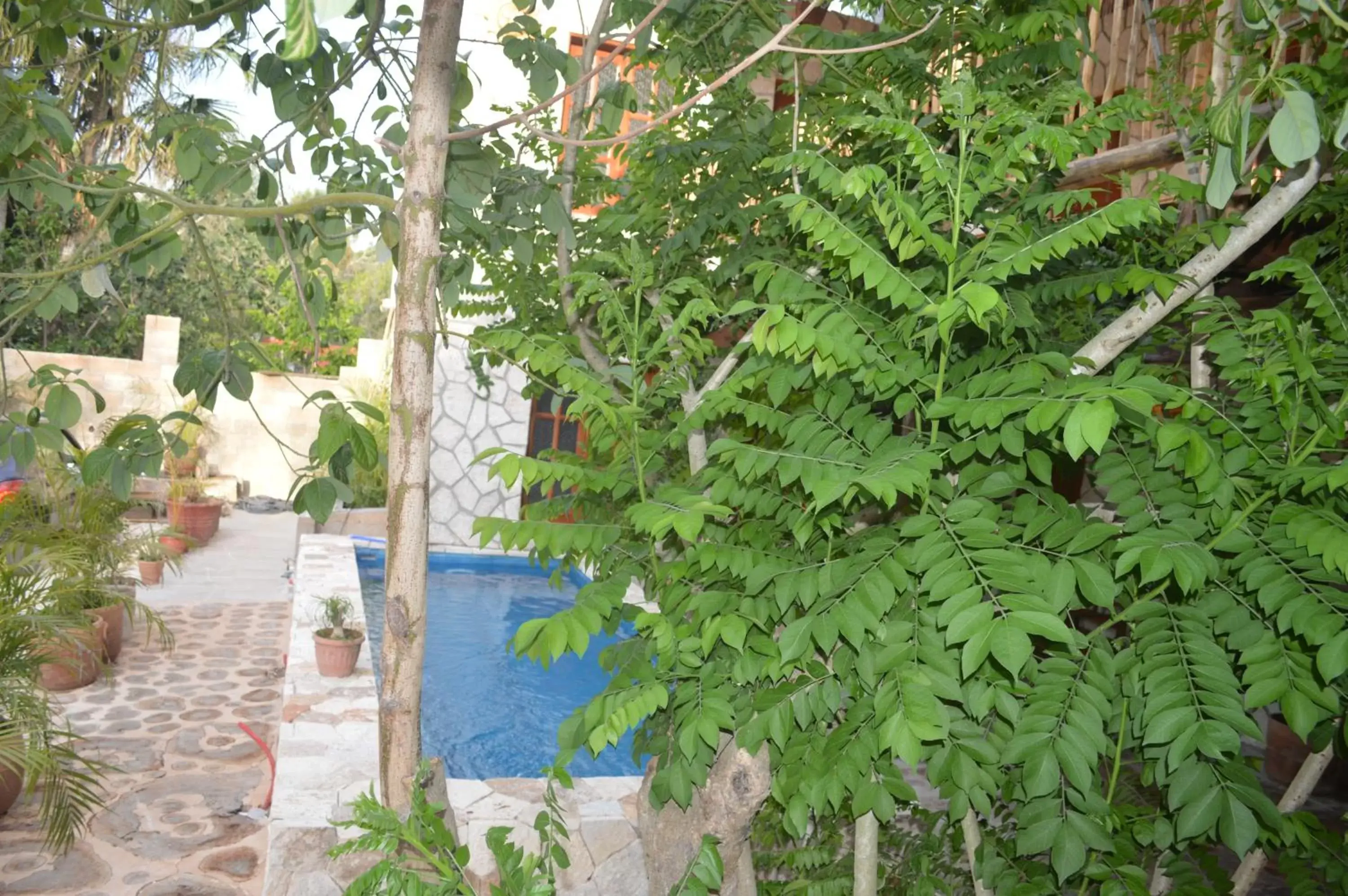 Pool View in Casa San Juan