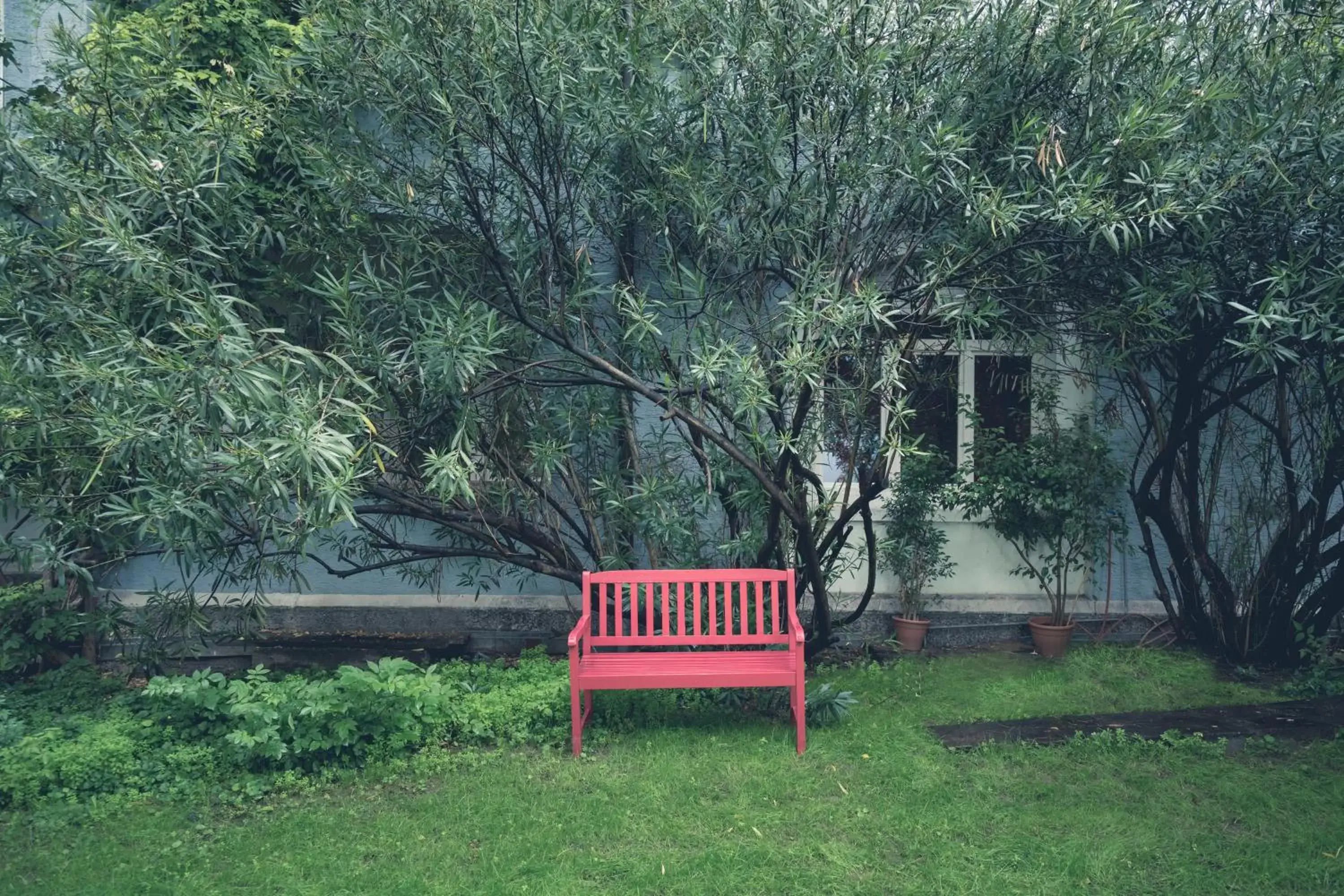 Garden in Bolzano Rooms