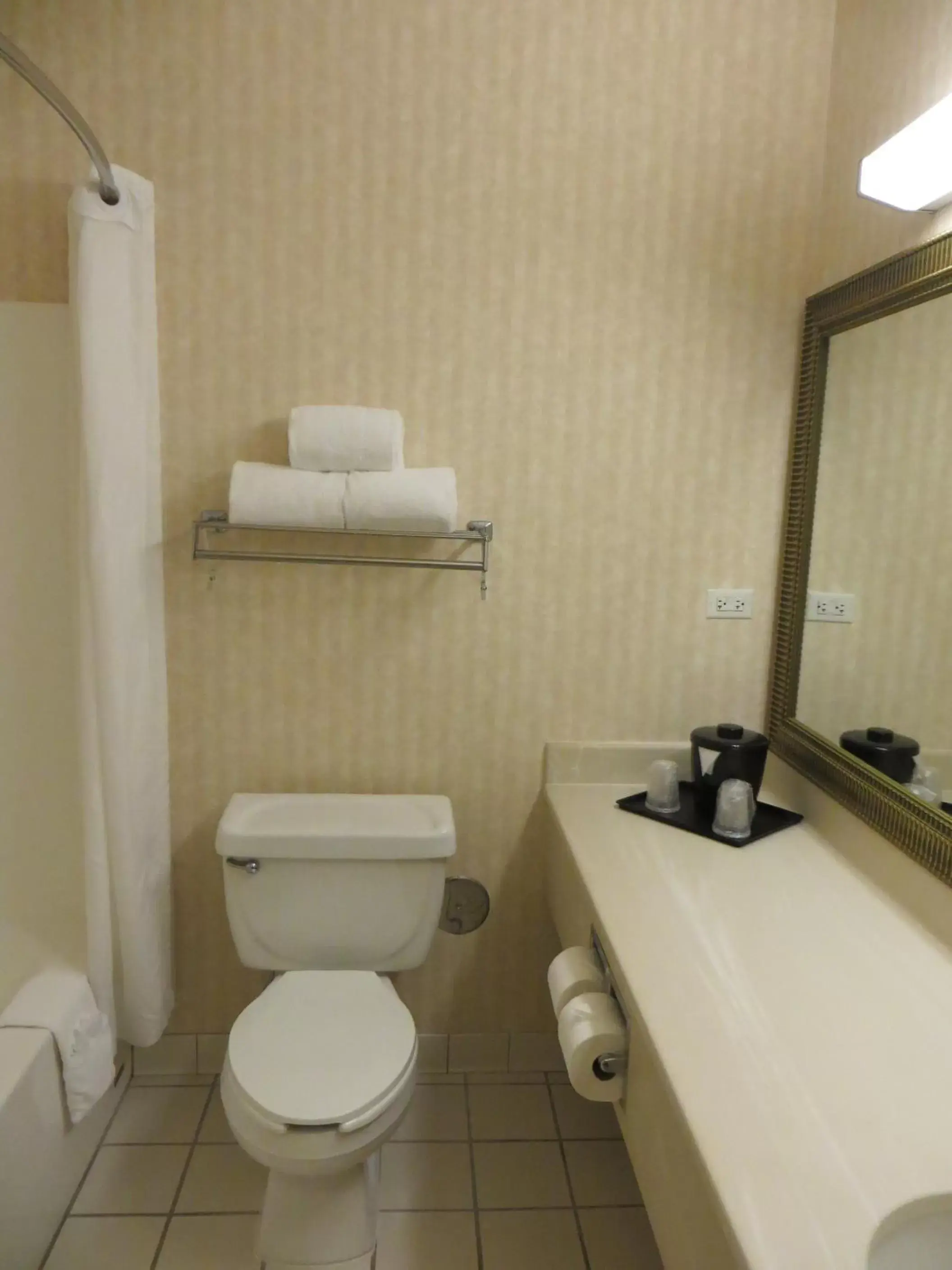 Toilet, Bathroom in Country Inn & Suites by Radisson, Gurnee, IL