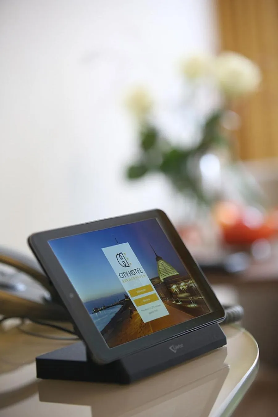 TV and multimedia in City Hotel