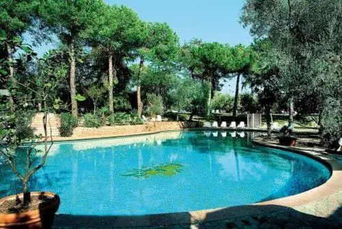 Day, Swimming Pool in Hotel Marco Polo