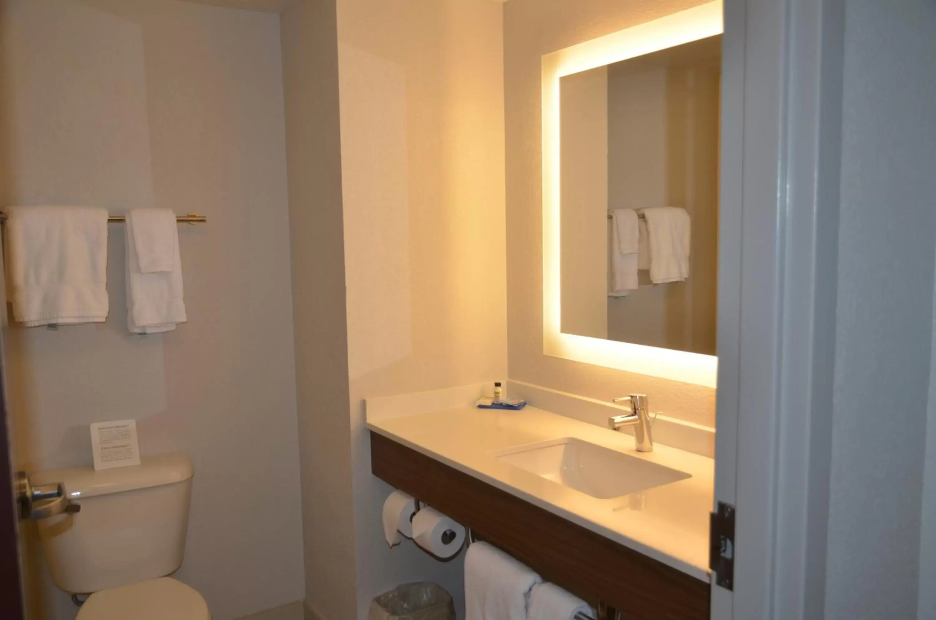 Bathroom in Holiday Inn Express Hotel & Suites Rochester, an IHG Hotel