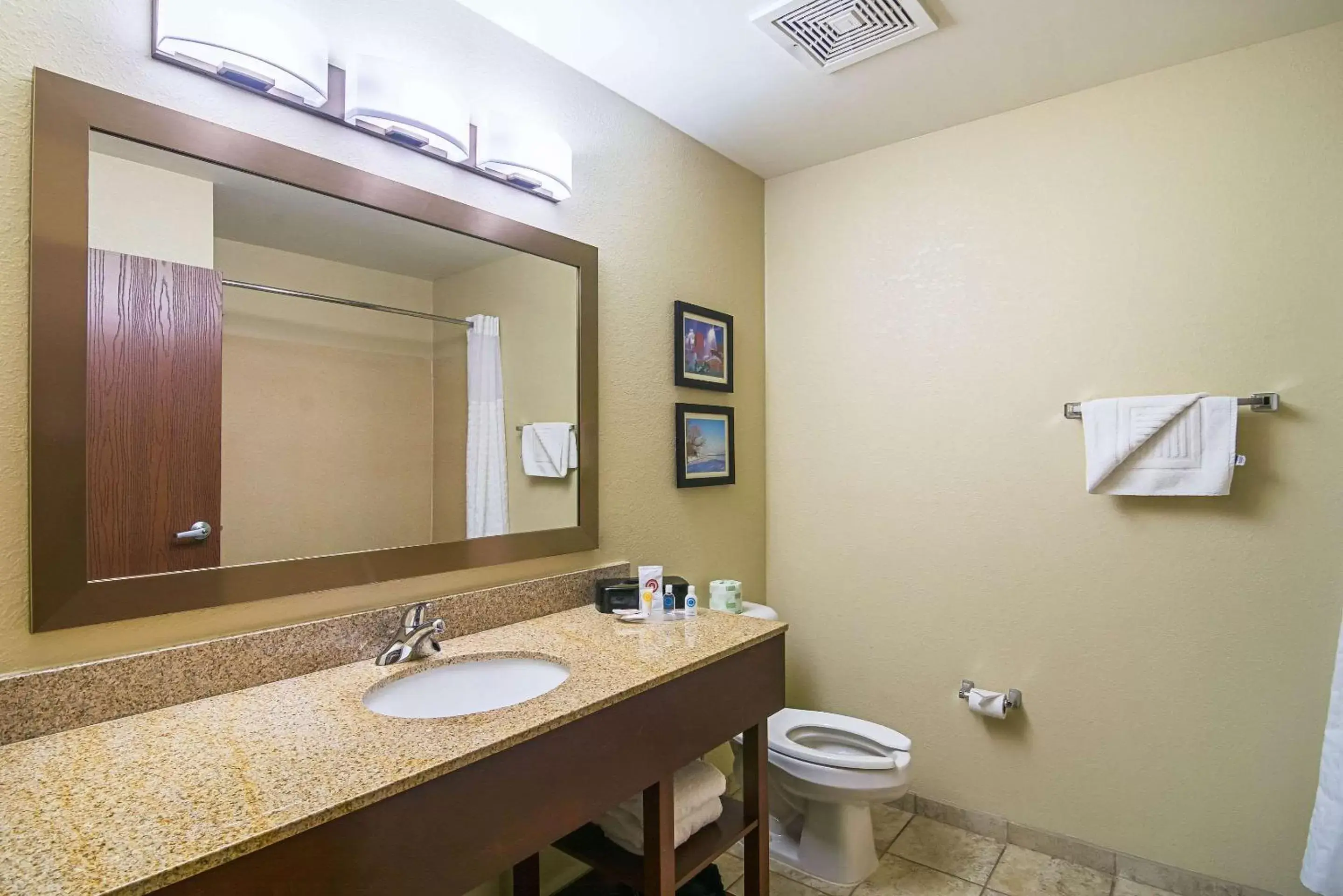 Photo of the whole room, Bathroom in Comfort Suites Grayslake near Libertyville North