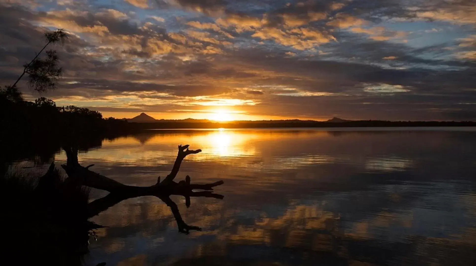 Lake Weyba Cottages Noosa