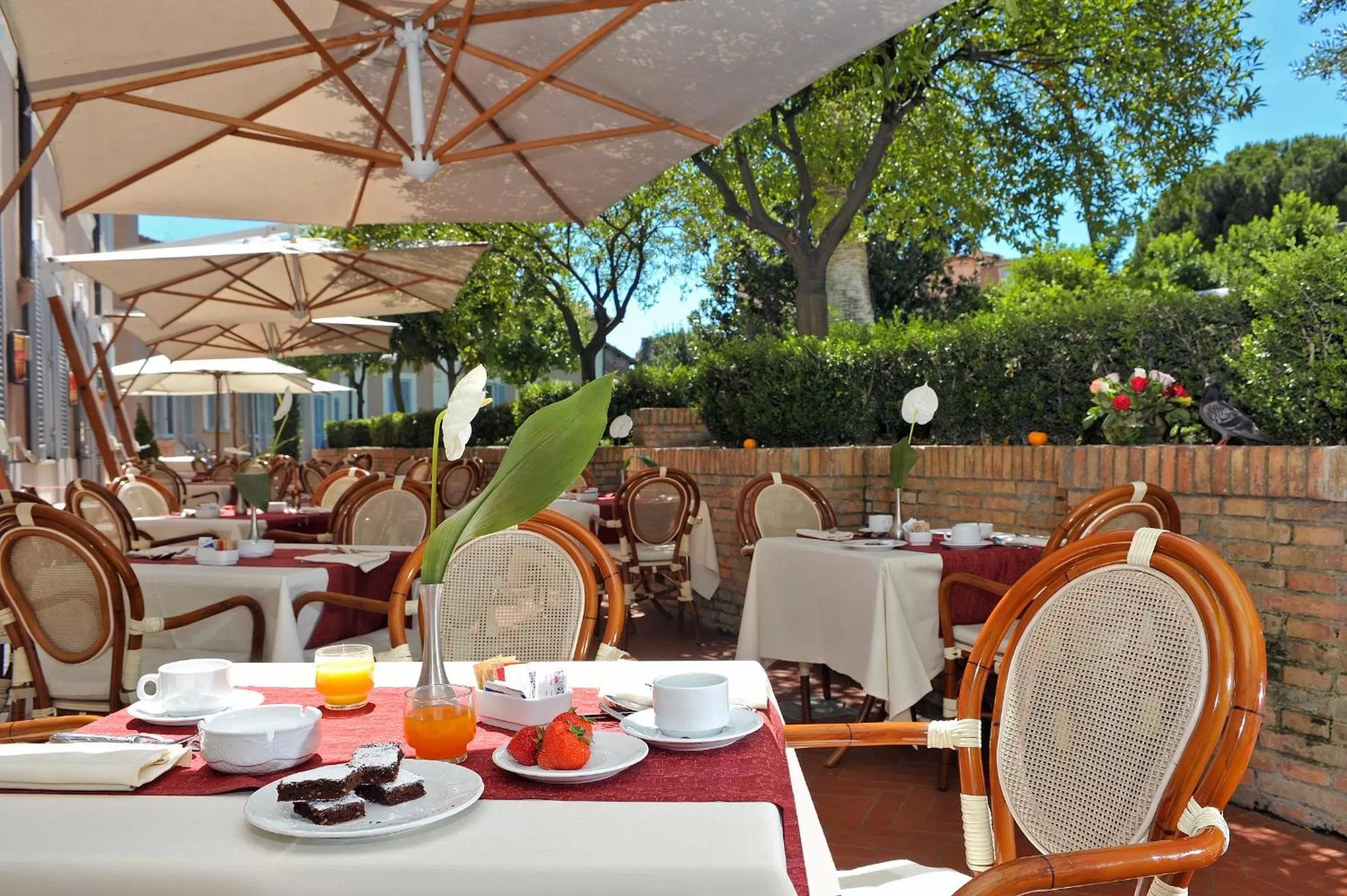 Restaurant/places to eat in Kolbe Hotel Rome