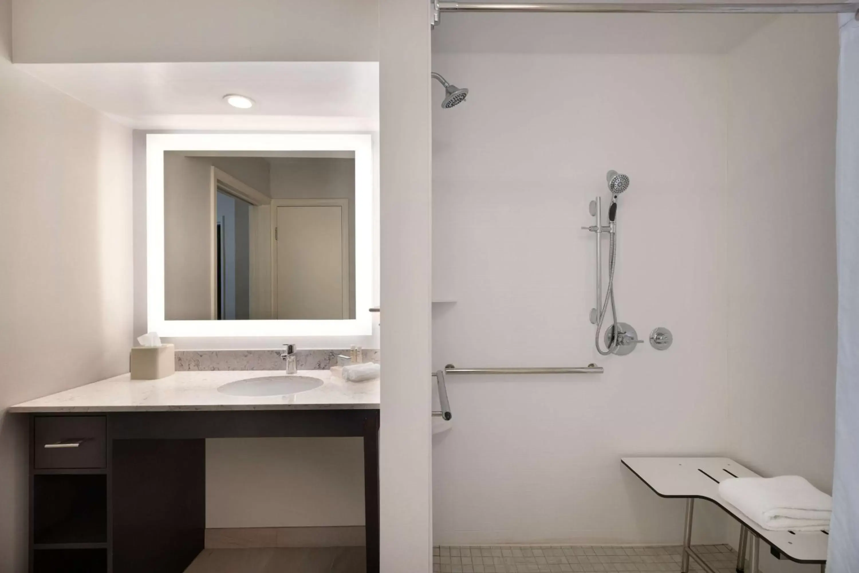 Bathroom in Homewood Suites by Hilton St. Petersburg Clearwater