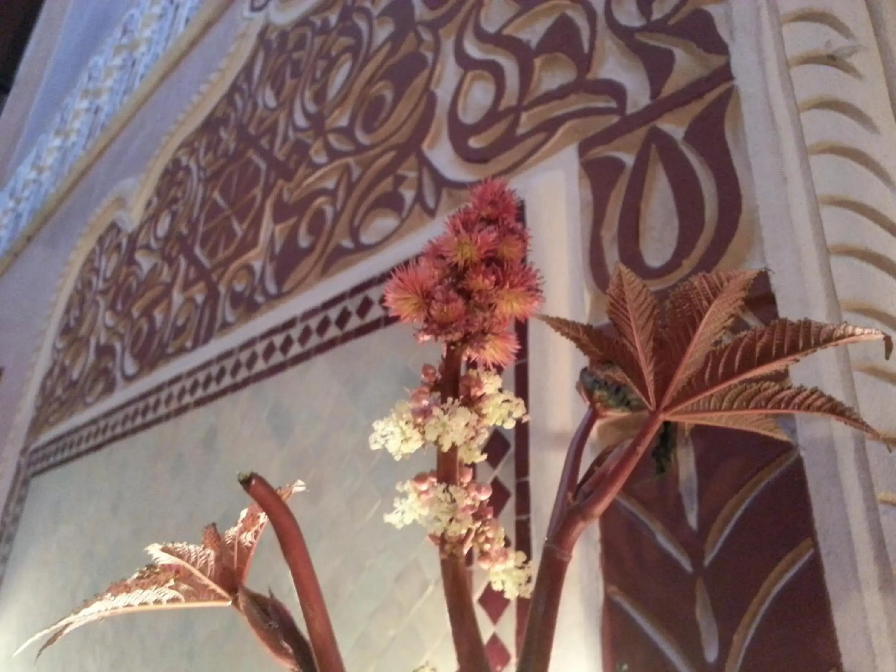 Decorative detail in Riad Mille Et Une Nuits