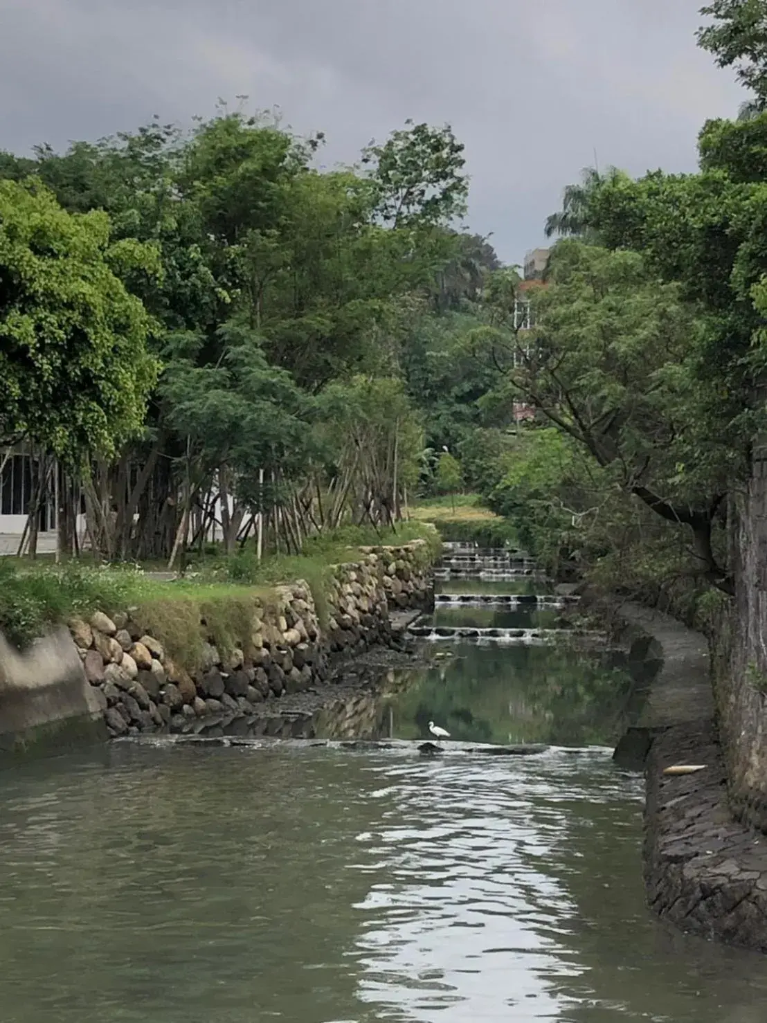 Natural landscape in Golden Tulip FAB Hotel New Taipei