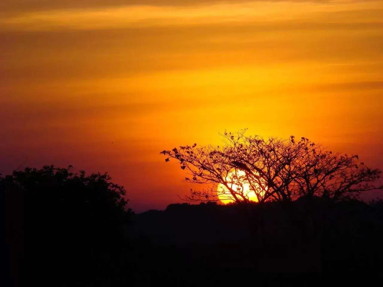 Sunrise/Sunset in El Campanario Hotel Campestre by Tequendama