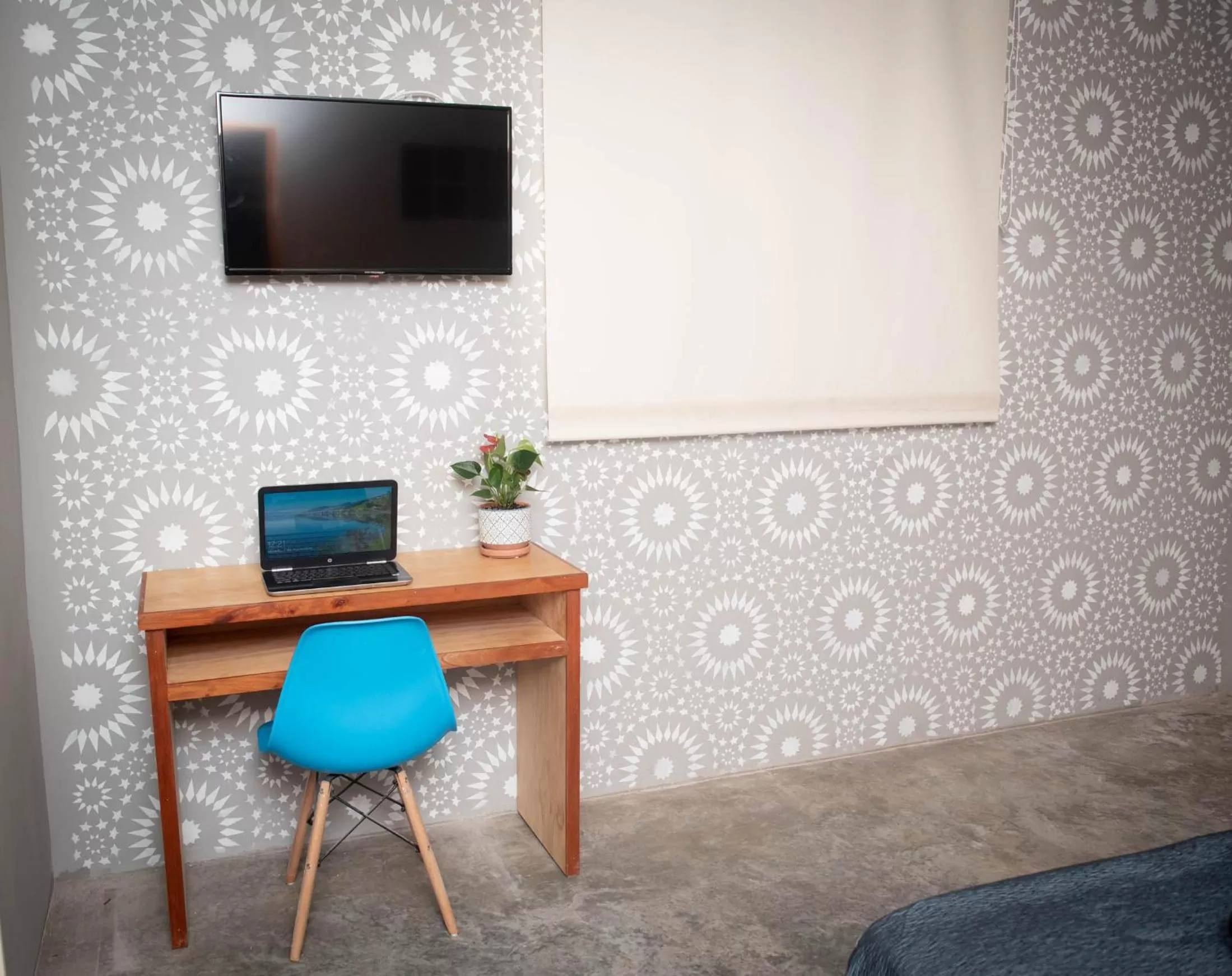 TV and multimedia in Canova