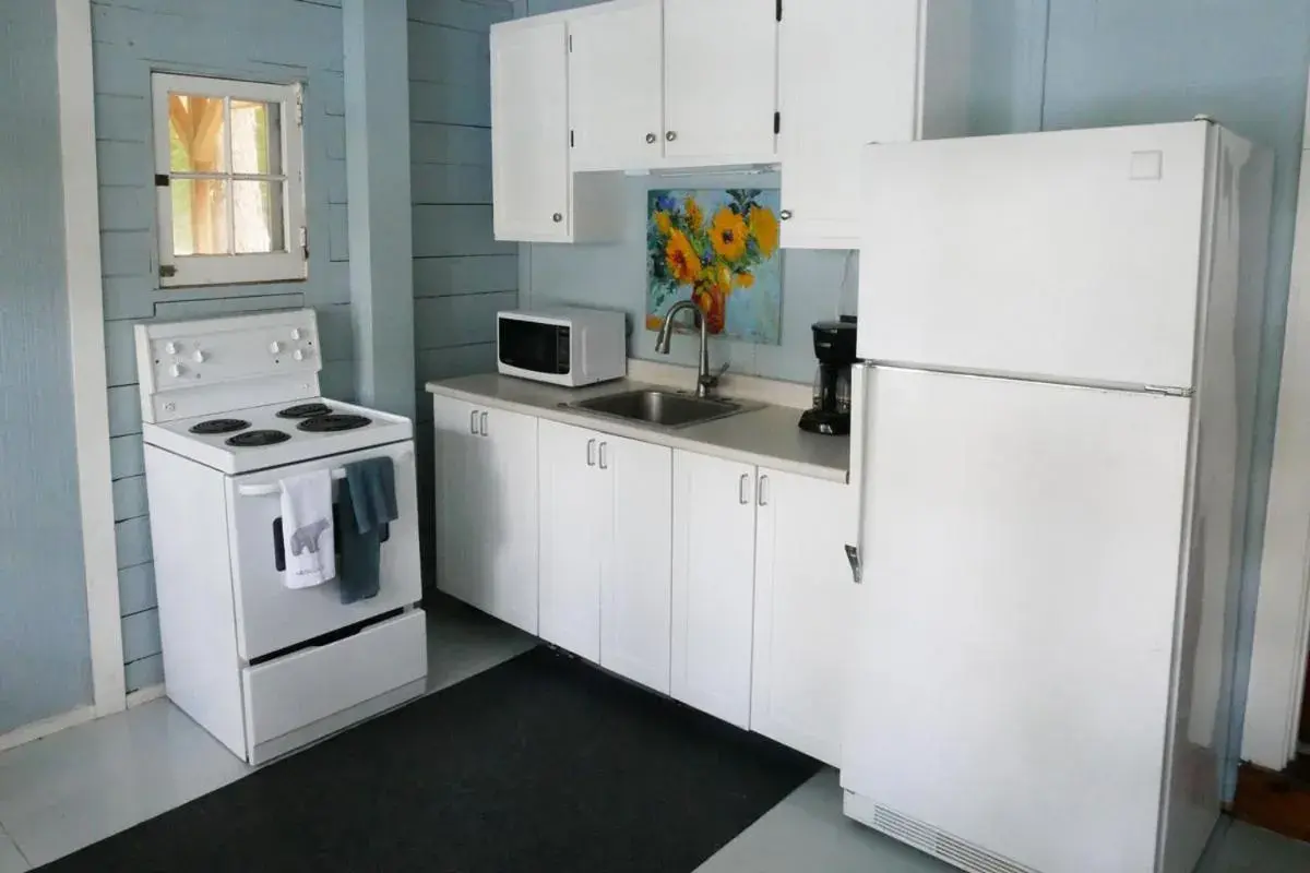 Kitchen/Kitchenette in Walker Lake Resort