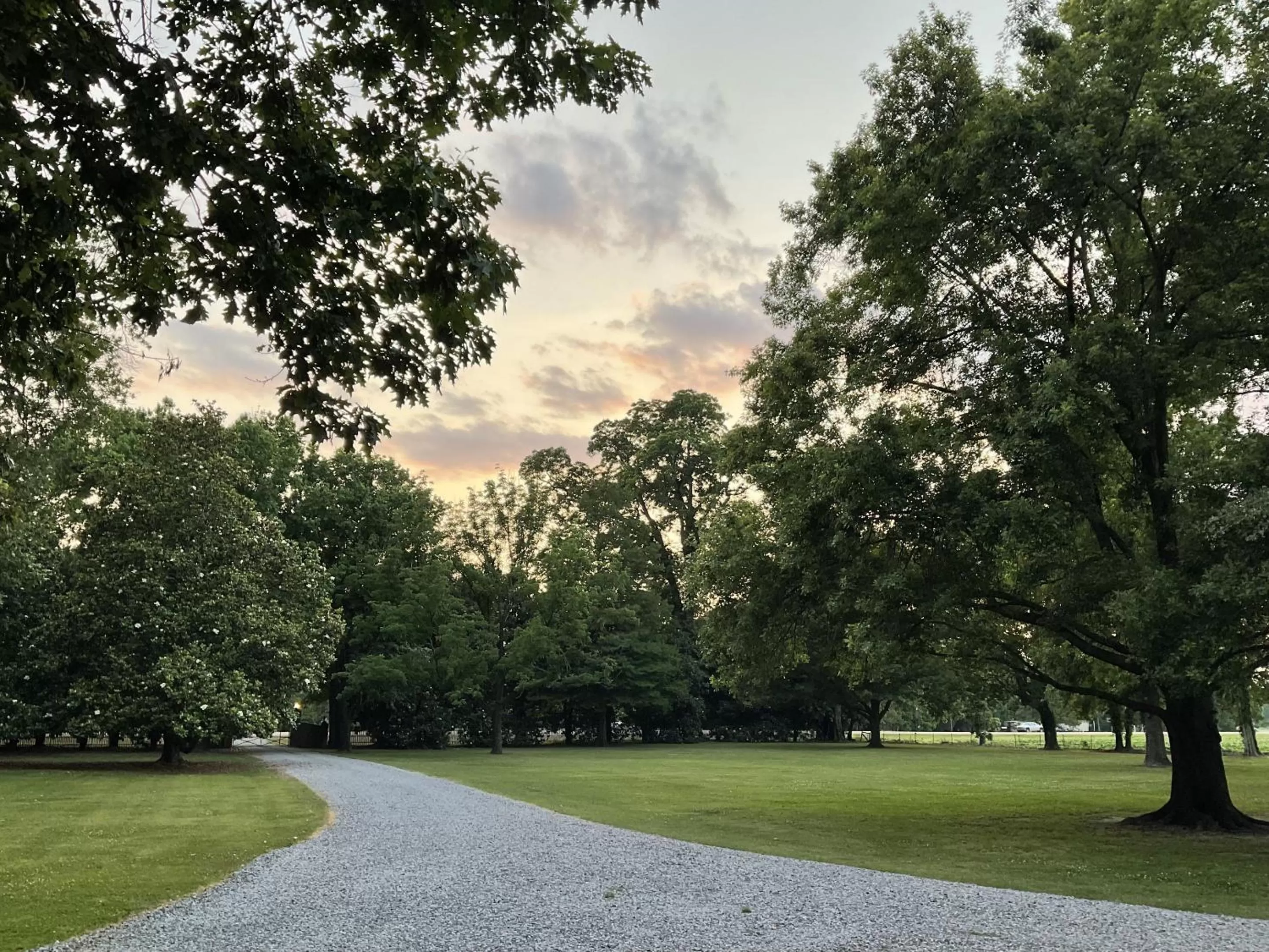 View (from property/room) in The Belmont 1857