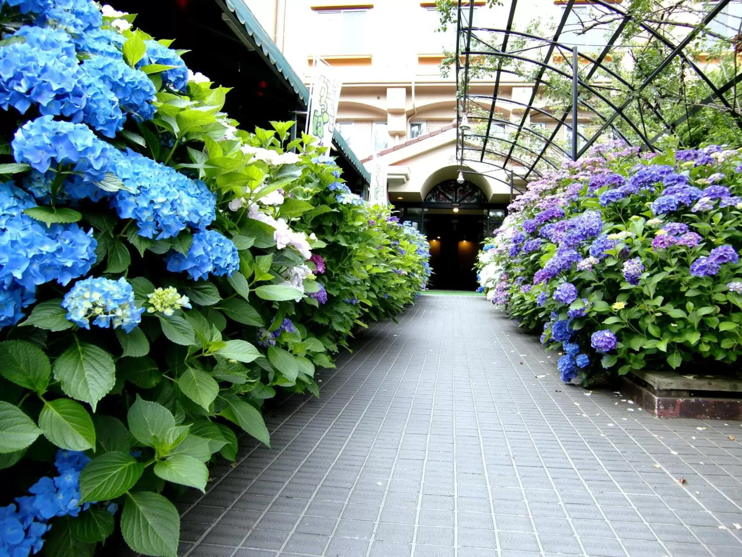 Facade/entrance in Royal Hotel Kawaguchiko