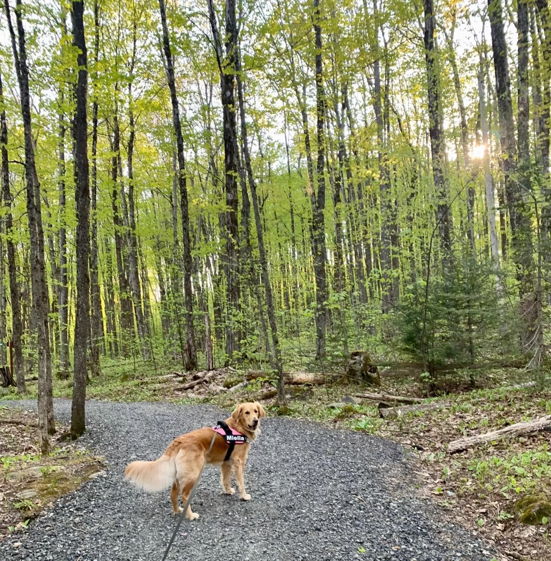 Natural landscape in Au Gré Du Temps - Gîte B&B