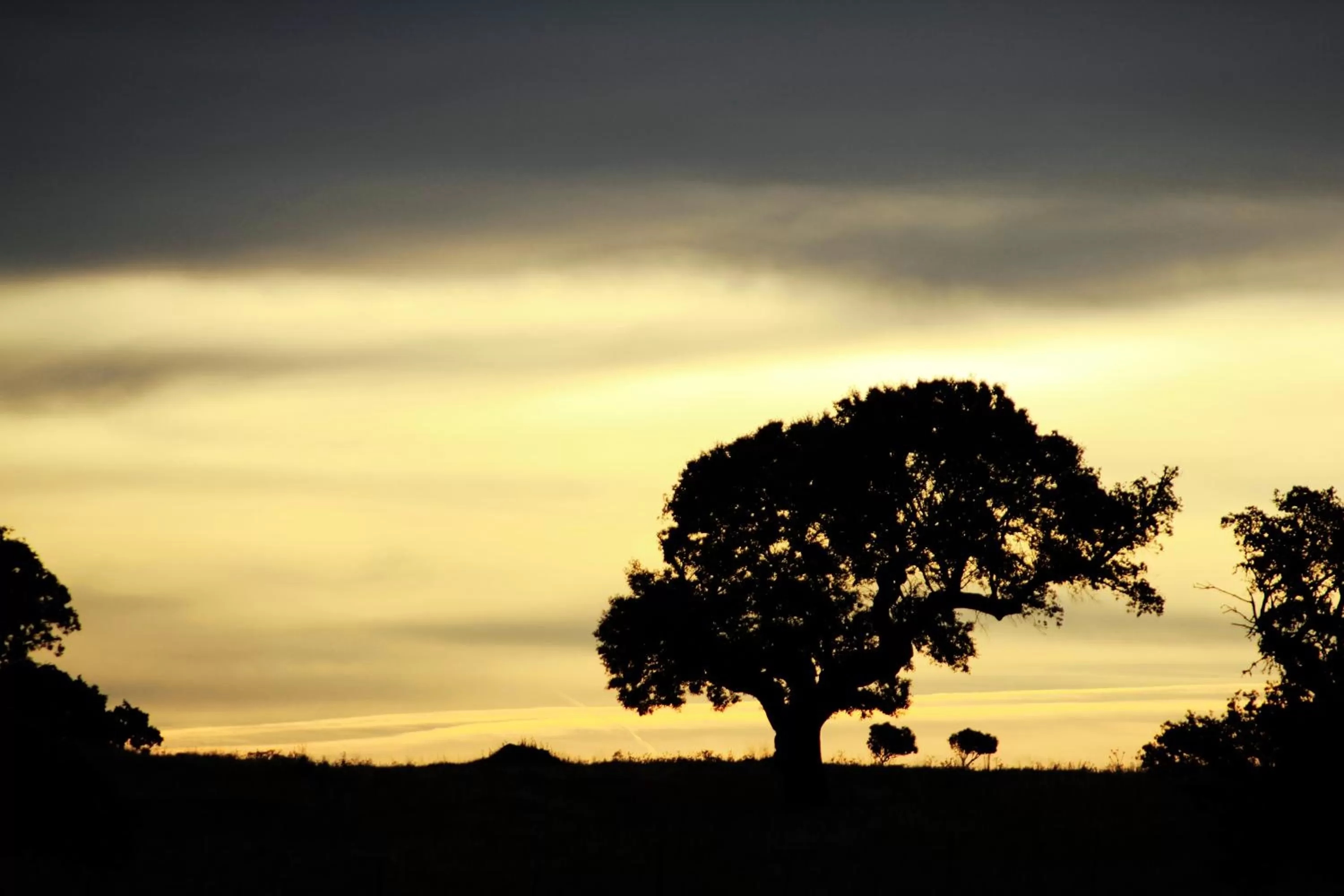 Off site in Pateo dos Solares Charm Hotel