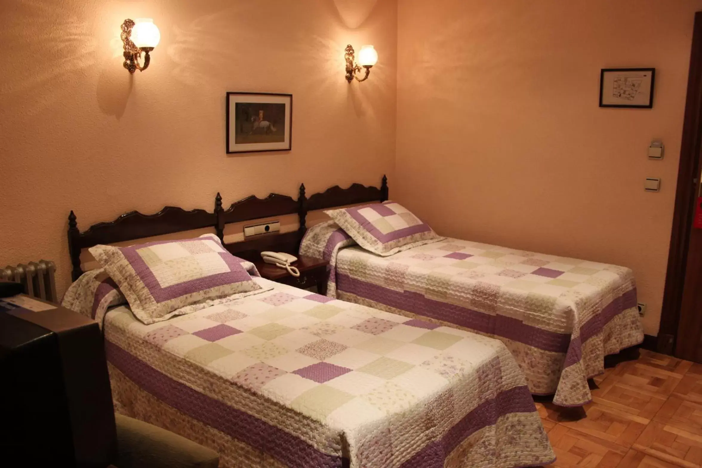 Double or Twin Room in Hotel Residencia Castellano I