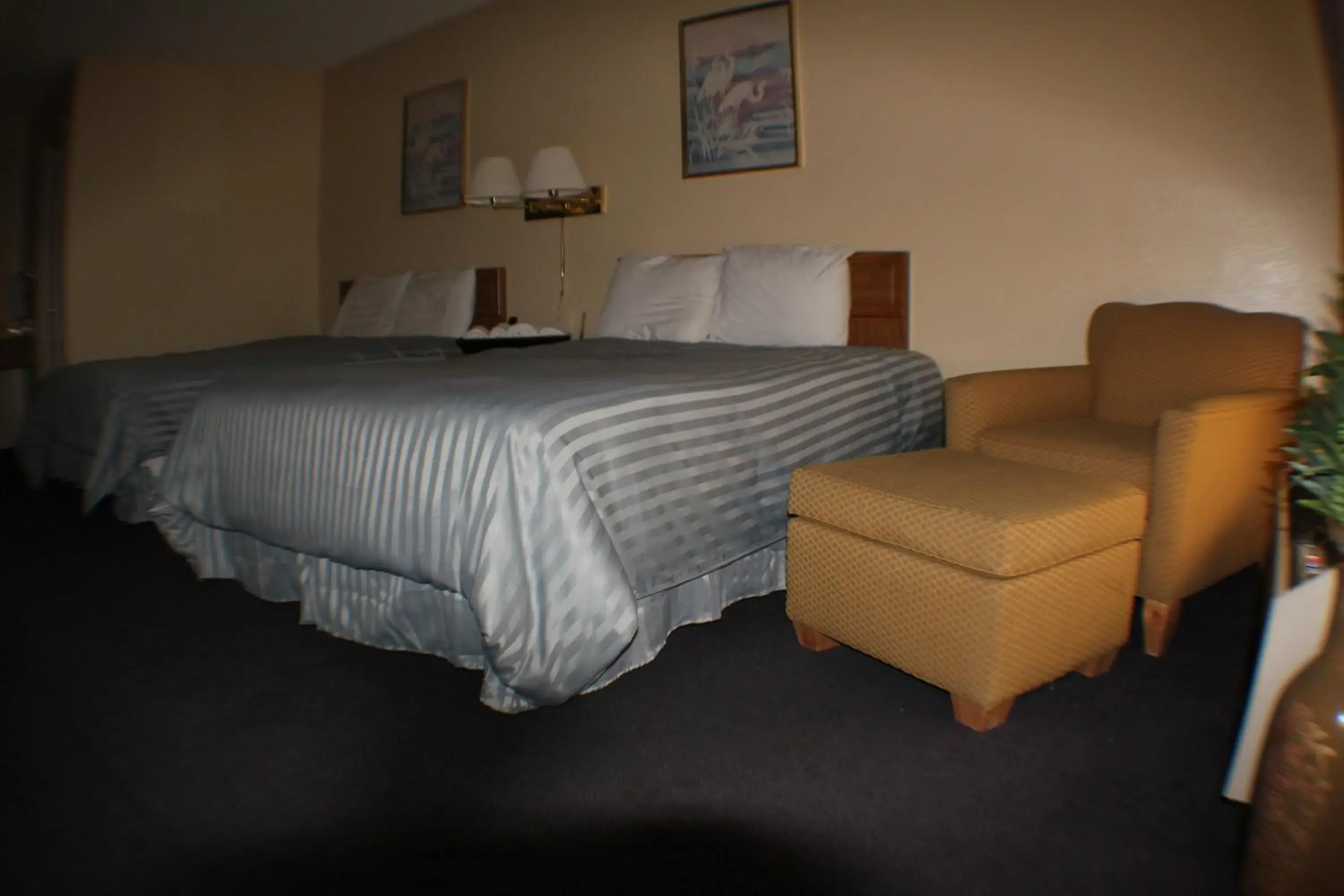 Bed in Value Inn & Suites - Harlingen