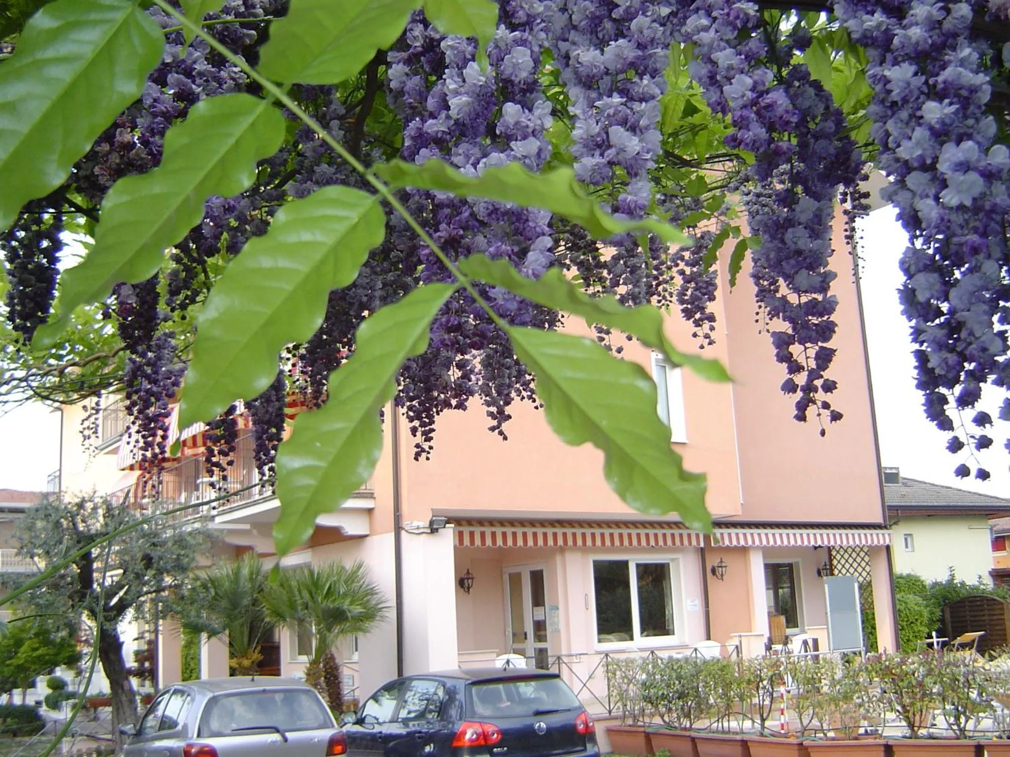 Property building in Hotel Alsazia