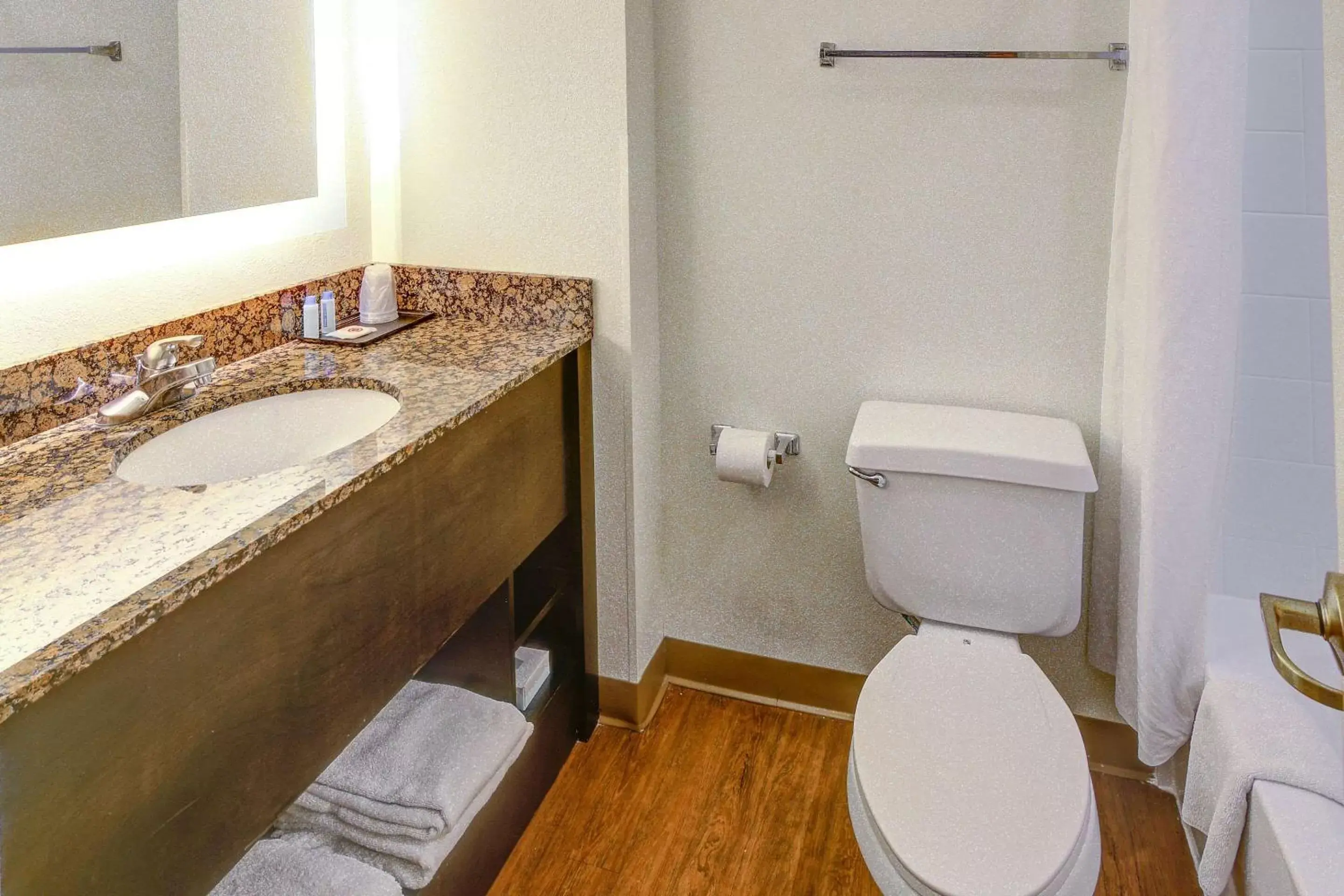 Bathroom in LeConte Hotel & Convention Center, Ascend Hotel Collection