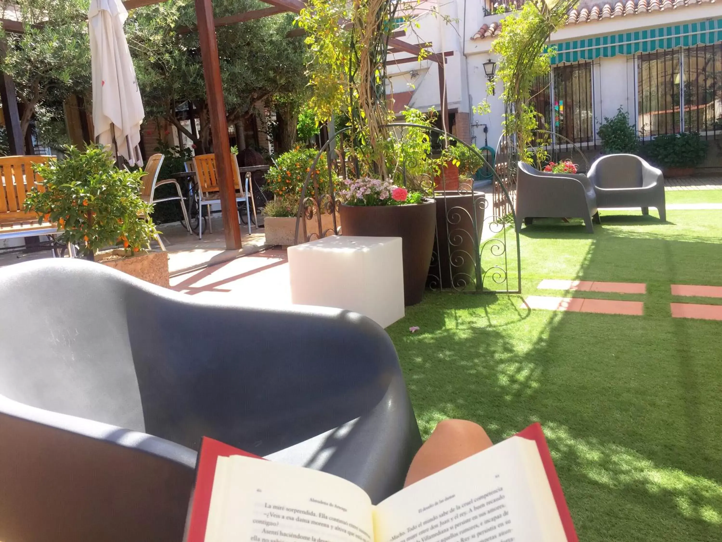 Balcony/Terrace in Hotel Alcadima