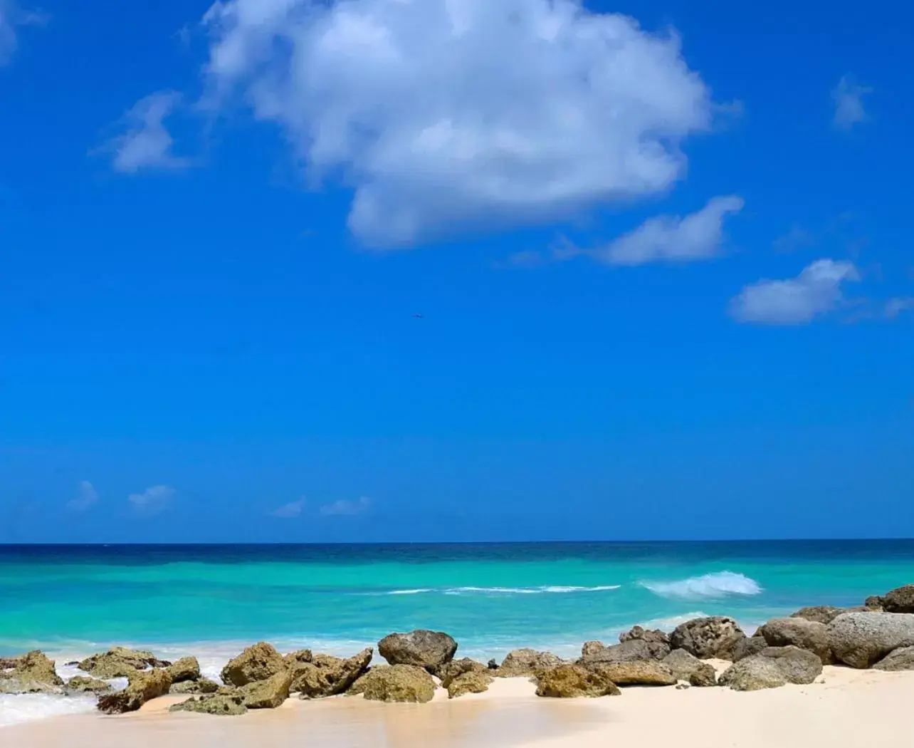 Natural landscape, Beach in Dover Beach Hotel