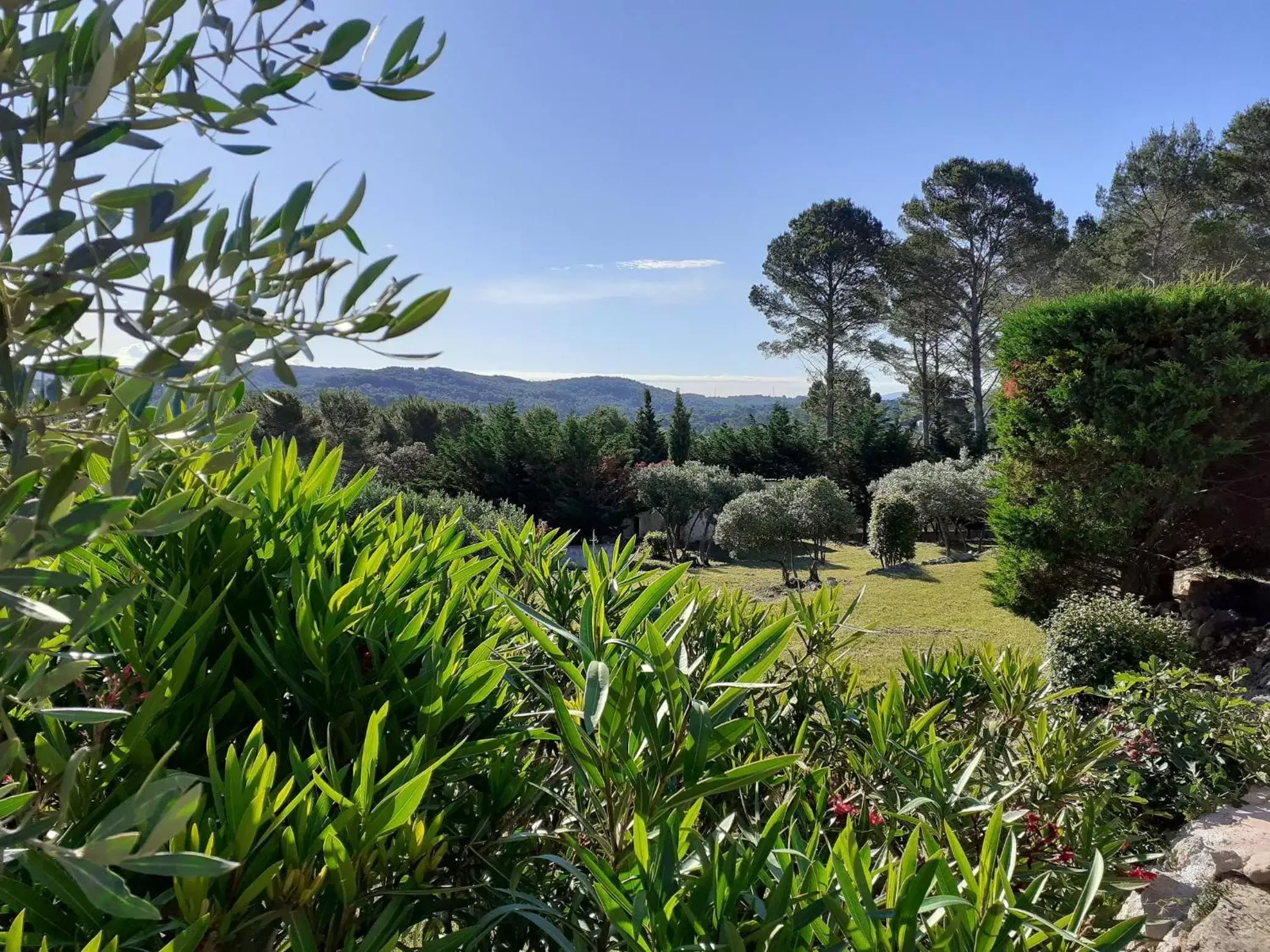 Garden view in La Bastide Des Selves