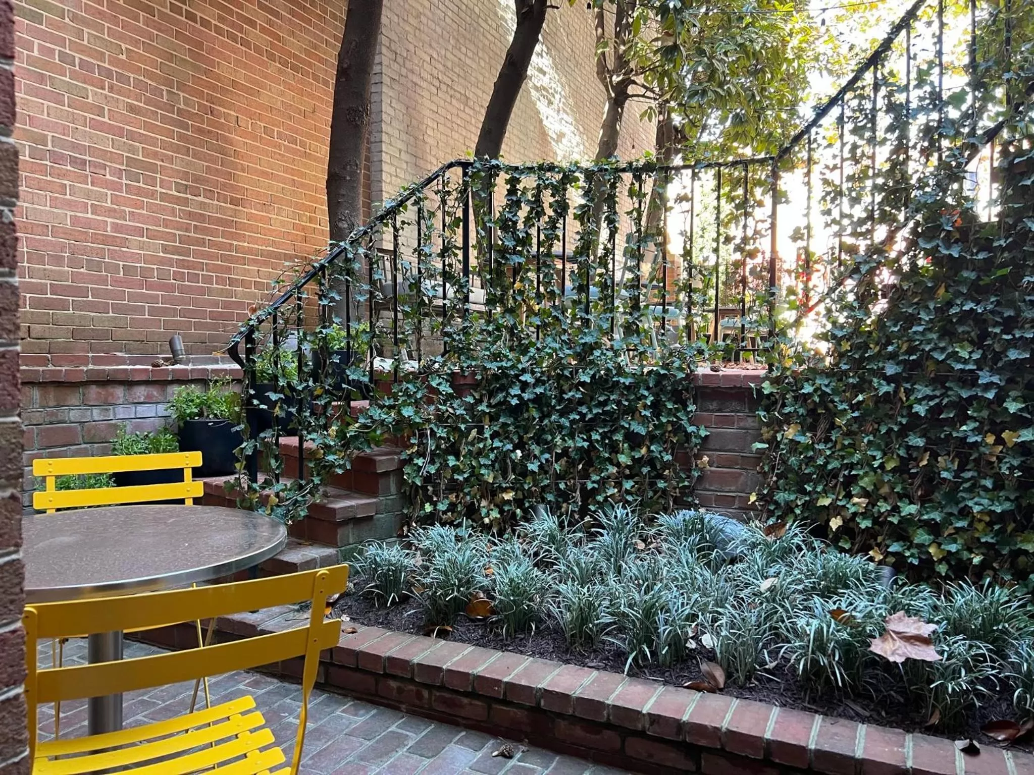 Patio in The Poppy Georgetown Guesthouse and Gardens