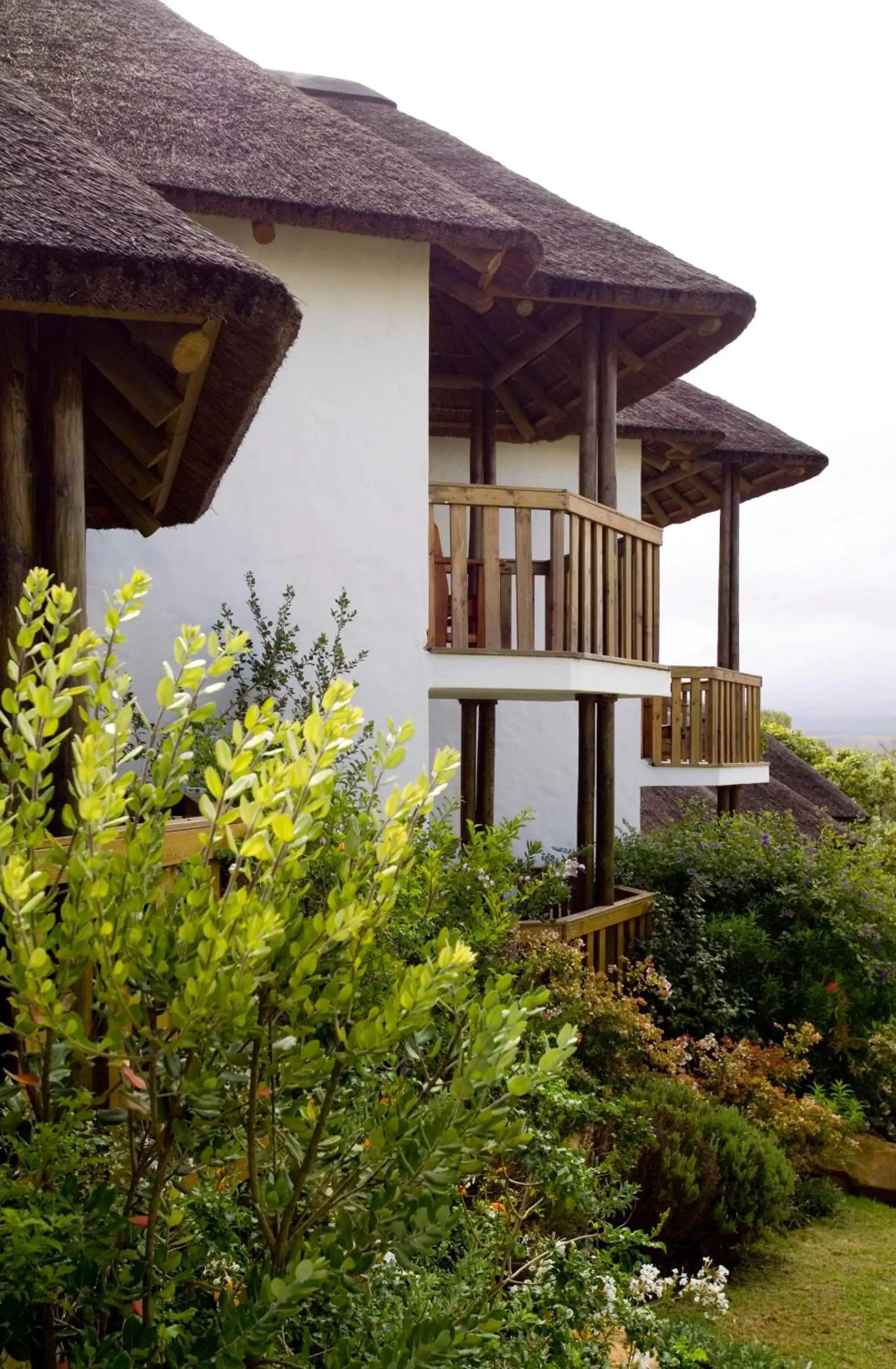 Balcony/Terrace, Property Building in Whalesong Hotel & Spa