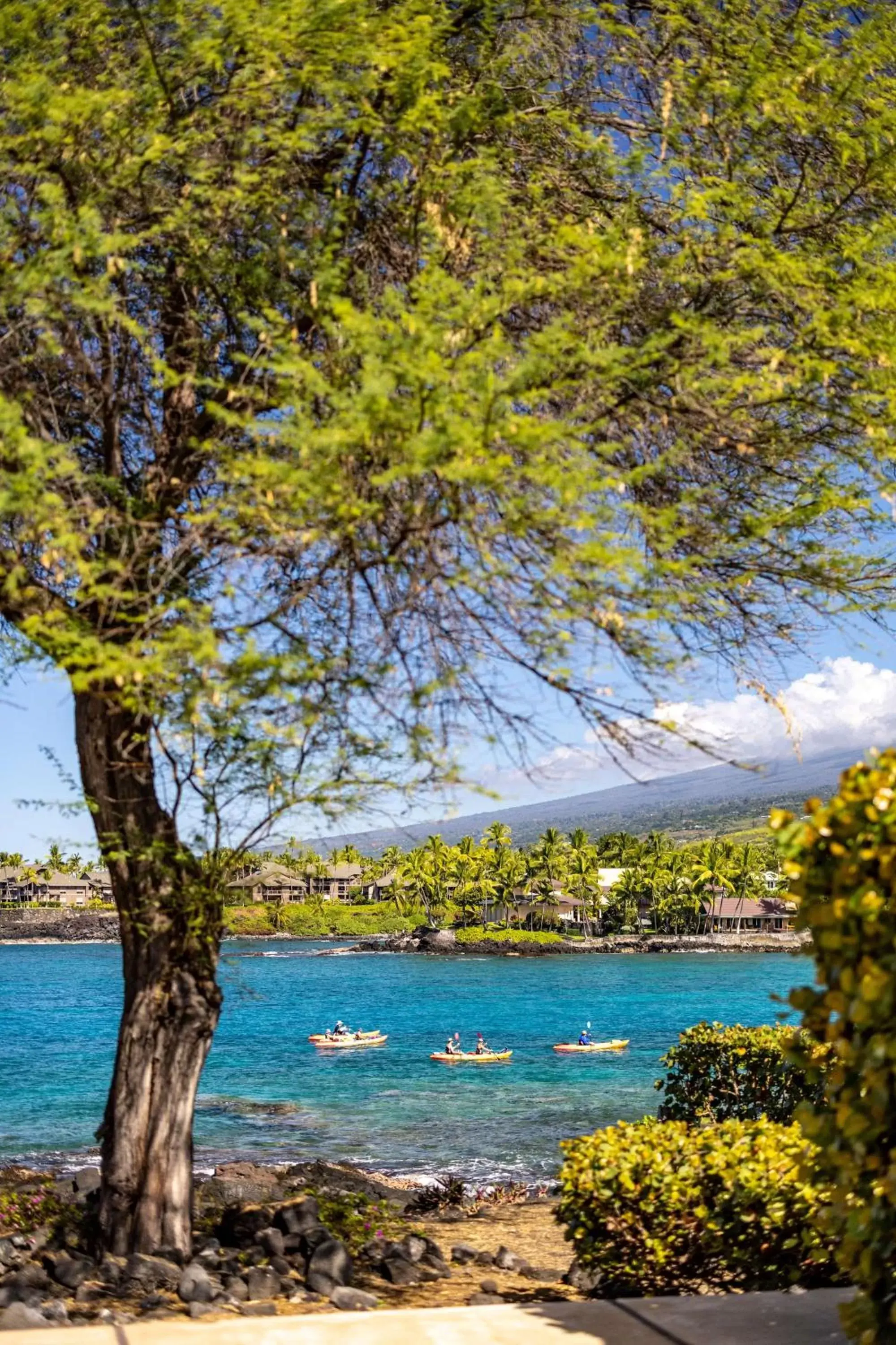 View (from property/room) in Outrigger Kona Resort and Spa